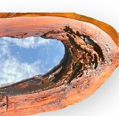 Antique Folk Art  Live Edge Cypress Wall Hat Rack/Mirror