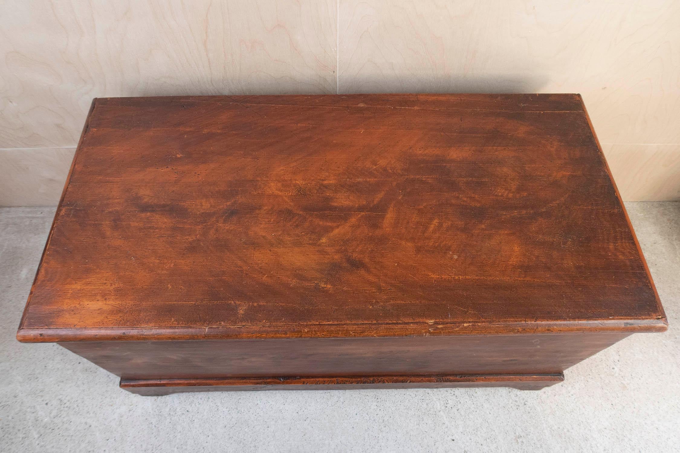 Rustic Antique Folk Art Painted Pine Blanket Chest, English, 19th Century For Sale