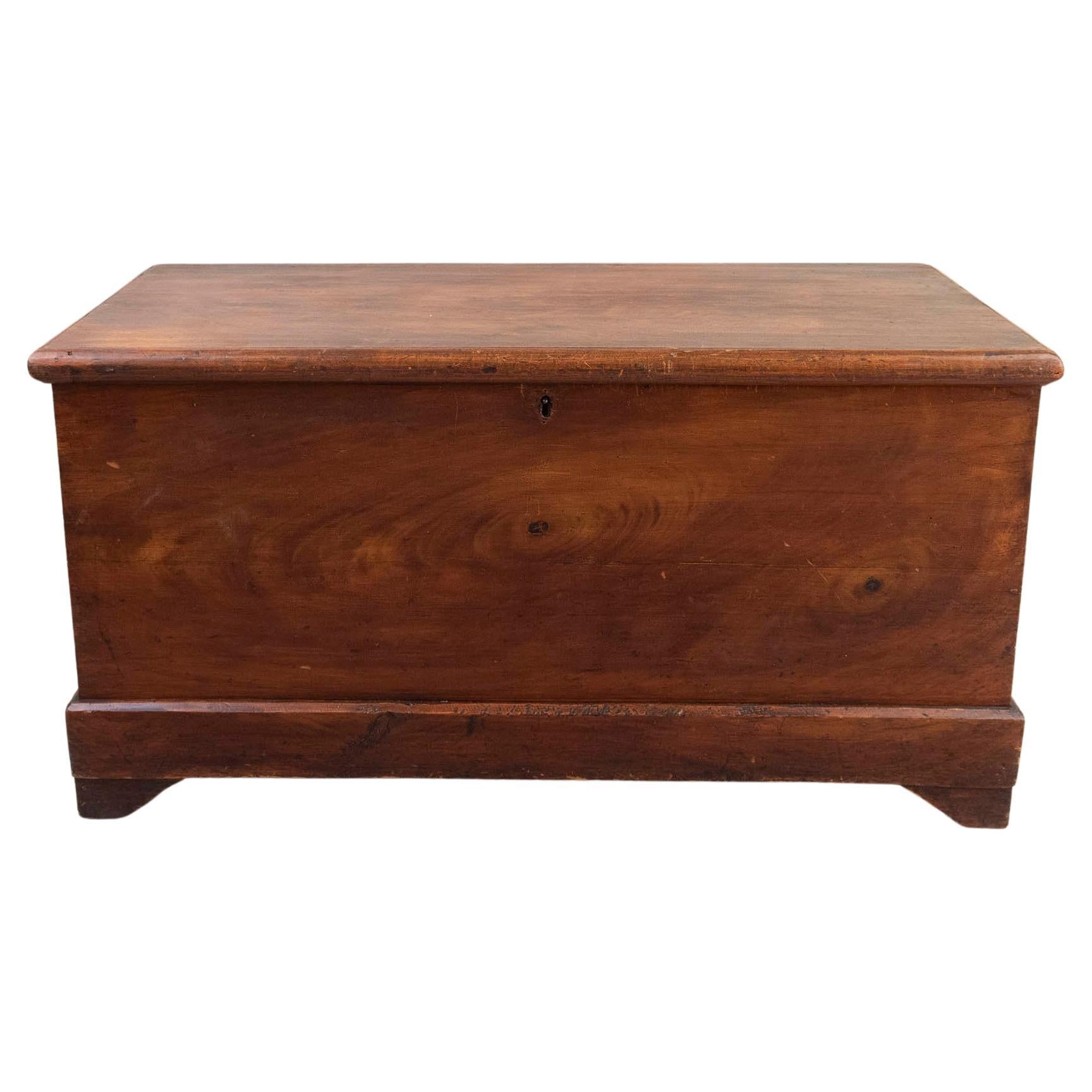 Antique Folk Art Painted Pine Blanket Chest, English, 19th Century For Sale