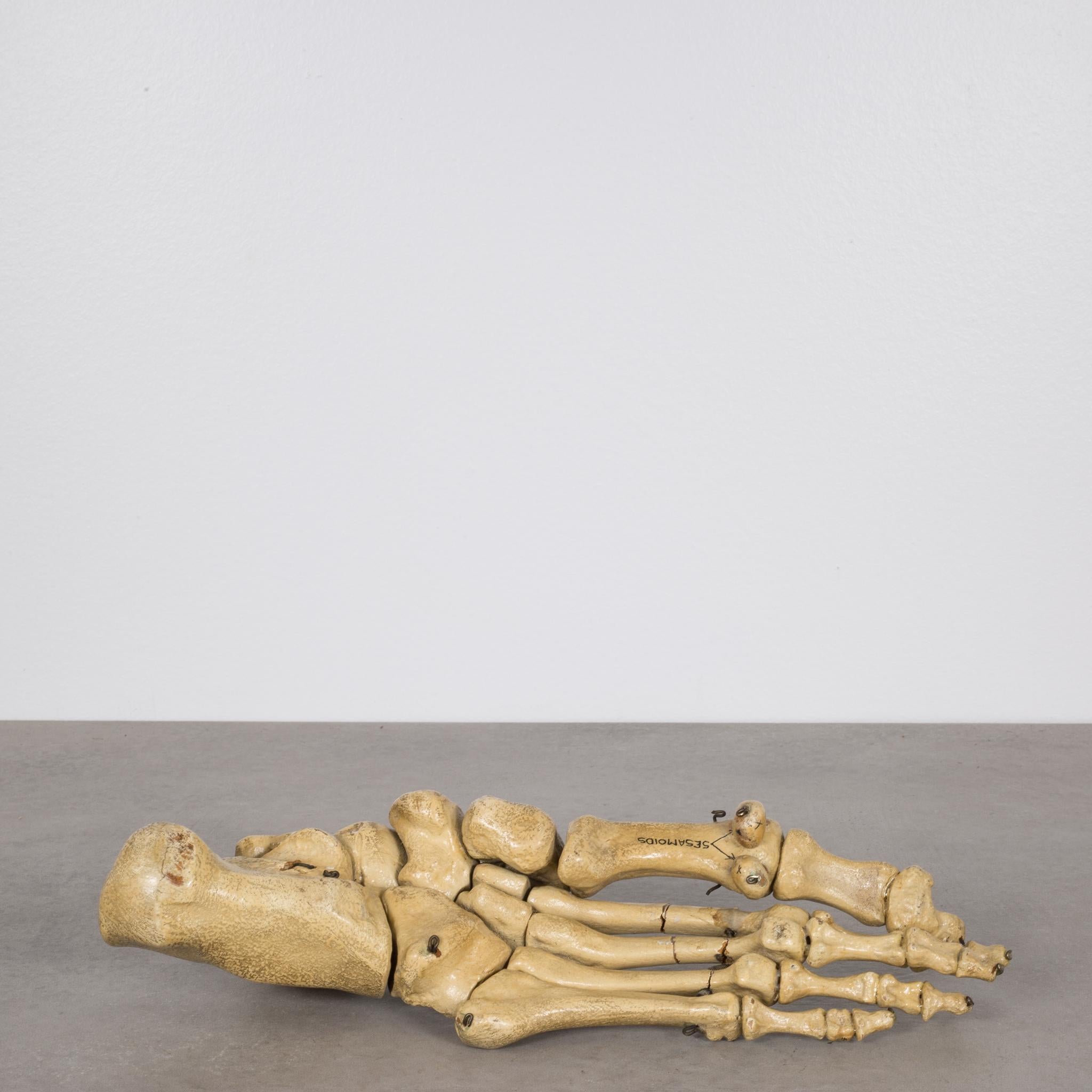 Antique Foot Skeletal Teaching Model, circa 1810 1
