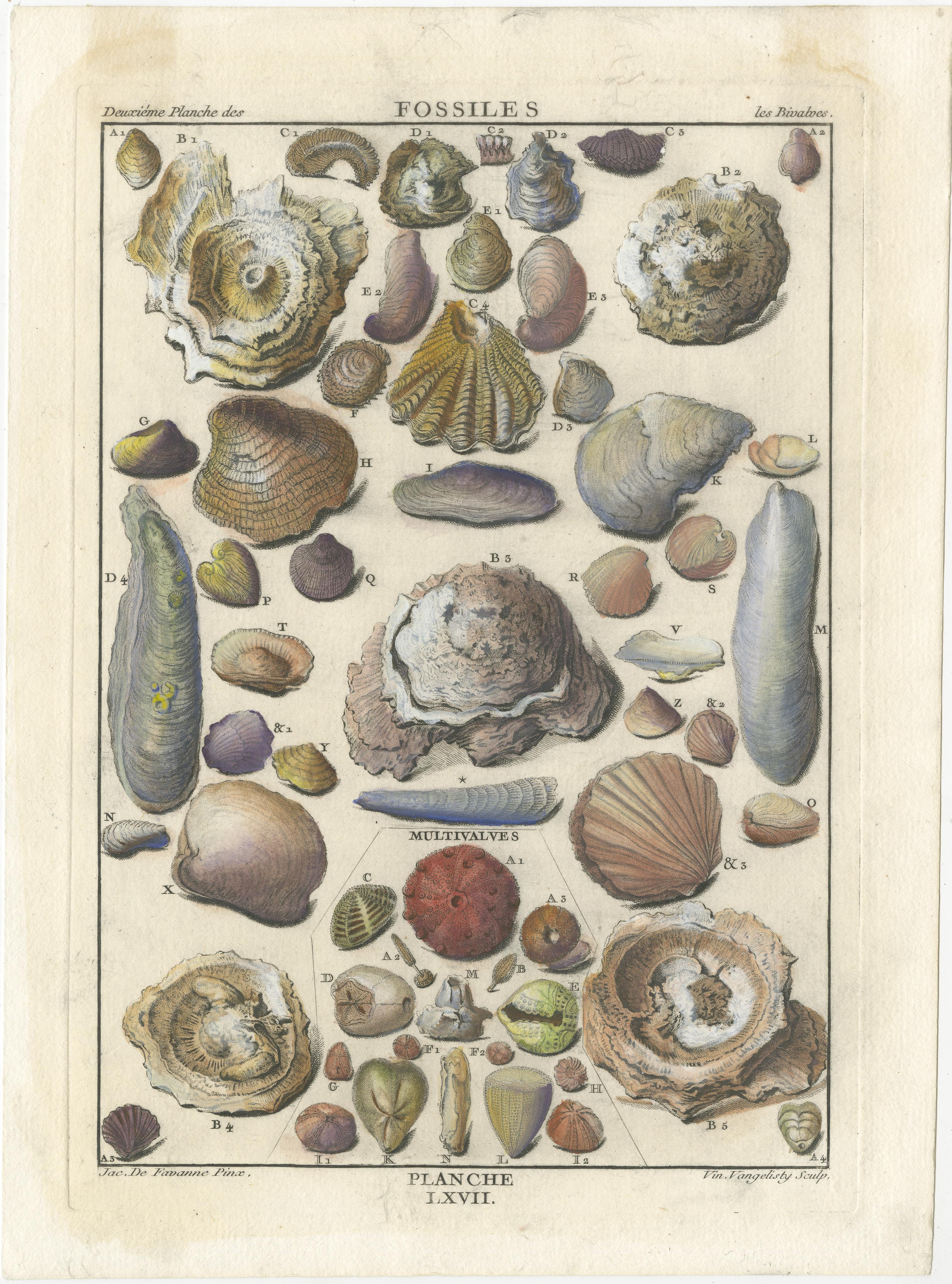 Antique Fossil Engraving - Multivalves and Marine Fossils - Plate LXVII, ca.1760 For Sale 1