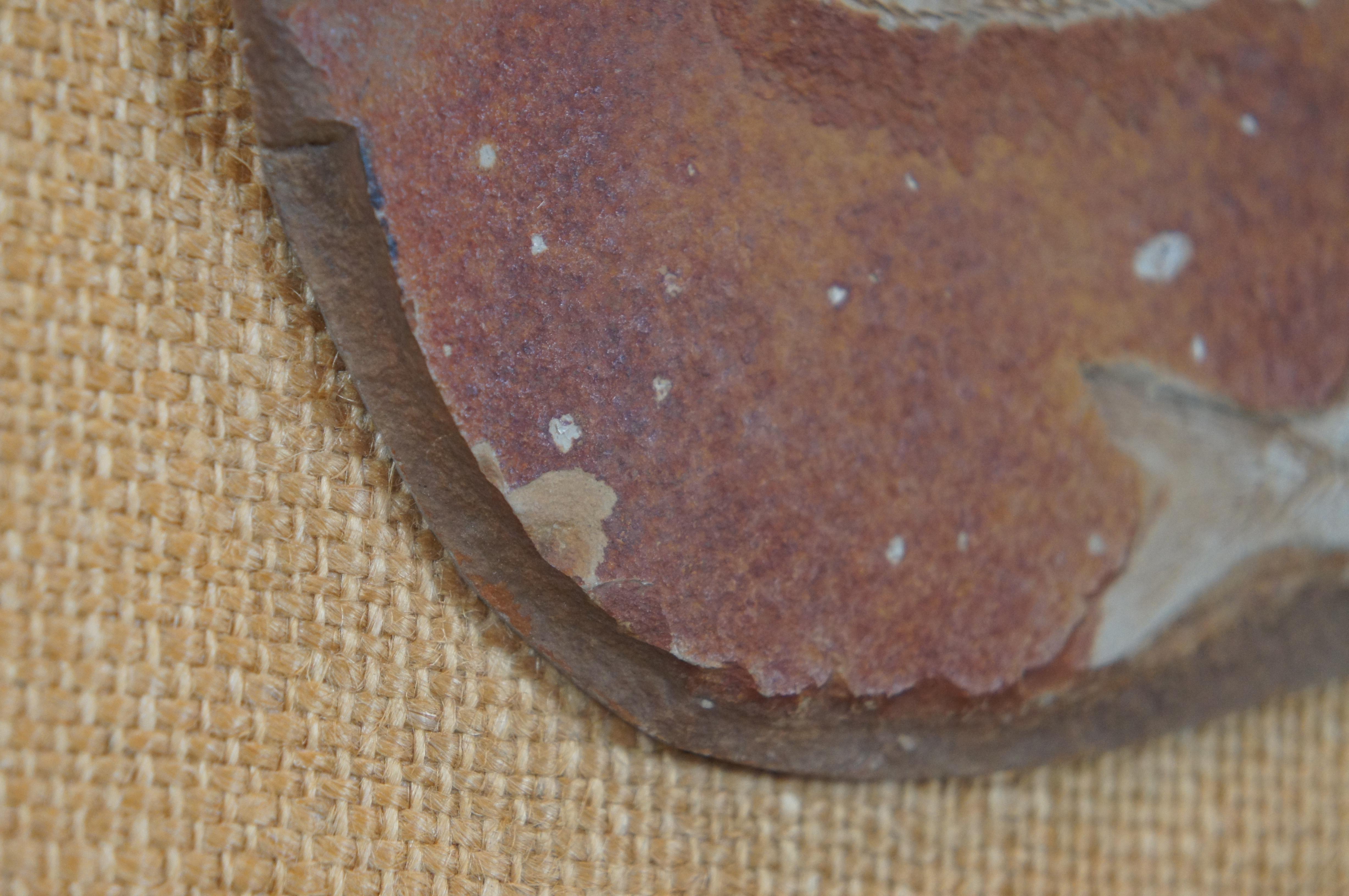 Antiker versteinerter Diplomystus Fisch-Schilfrohr-Bergstahl-Goldrahmen Wyoming 12