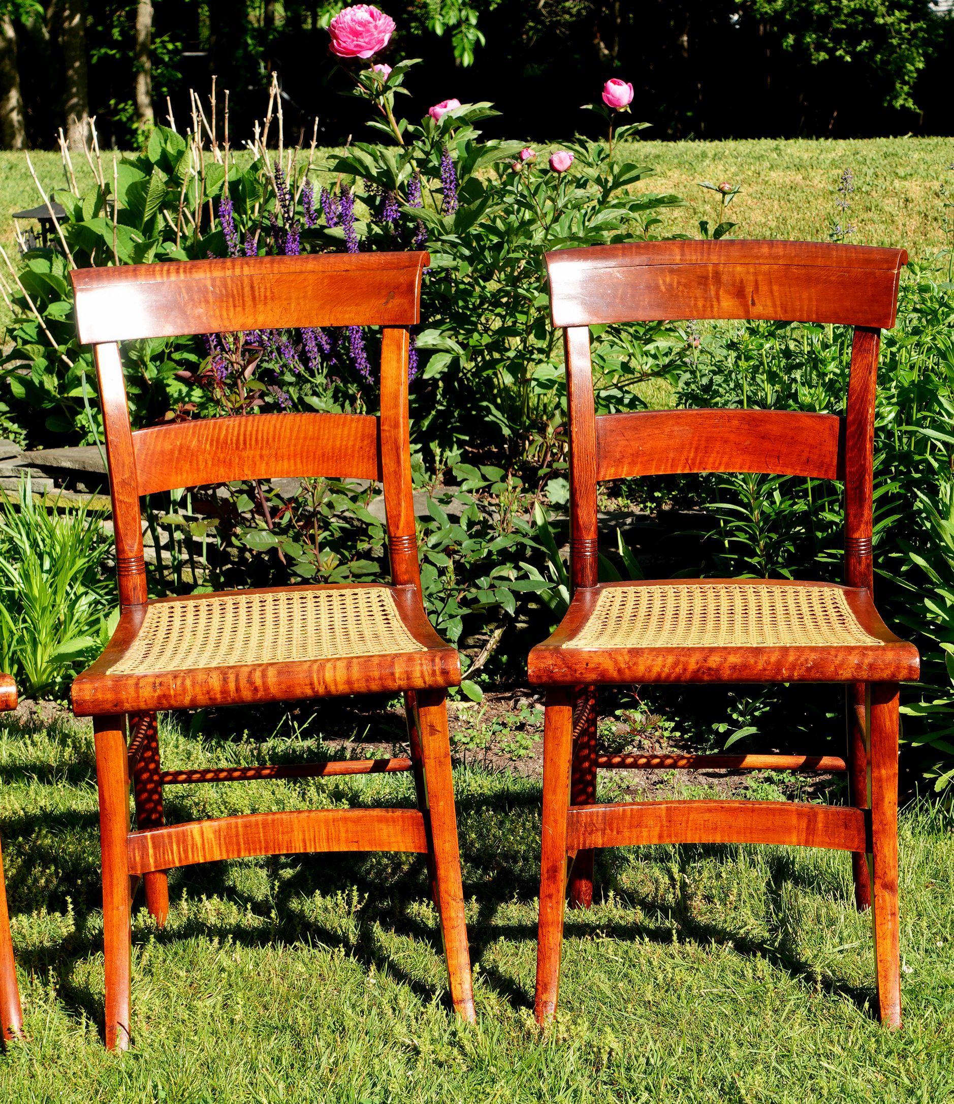 American Antique Four Federal Tiger Maple Slat Back & Cane Seat Dinning Charis For Sale