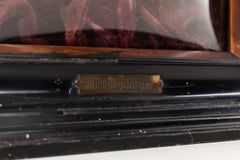 Antigua máscara mortuoria de escayola, enmarcada y montada. c.1900