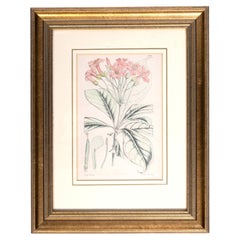 Antique Framed Original Botanical Lithograph Walter Hood Fitch 1854