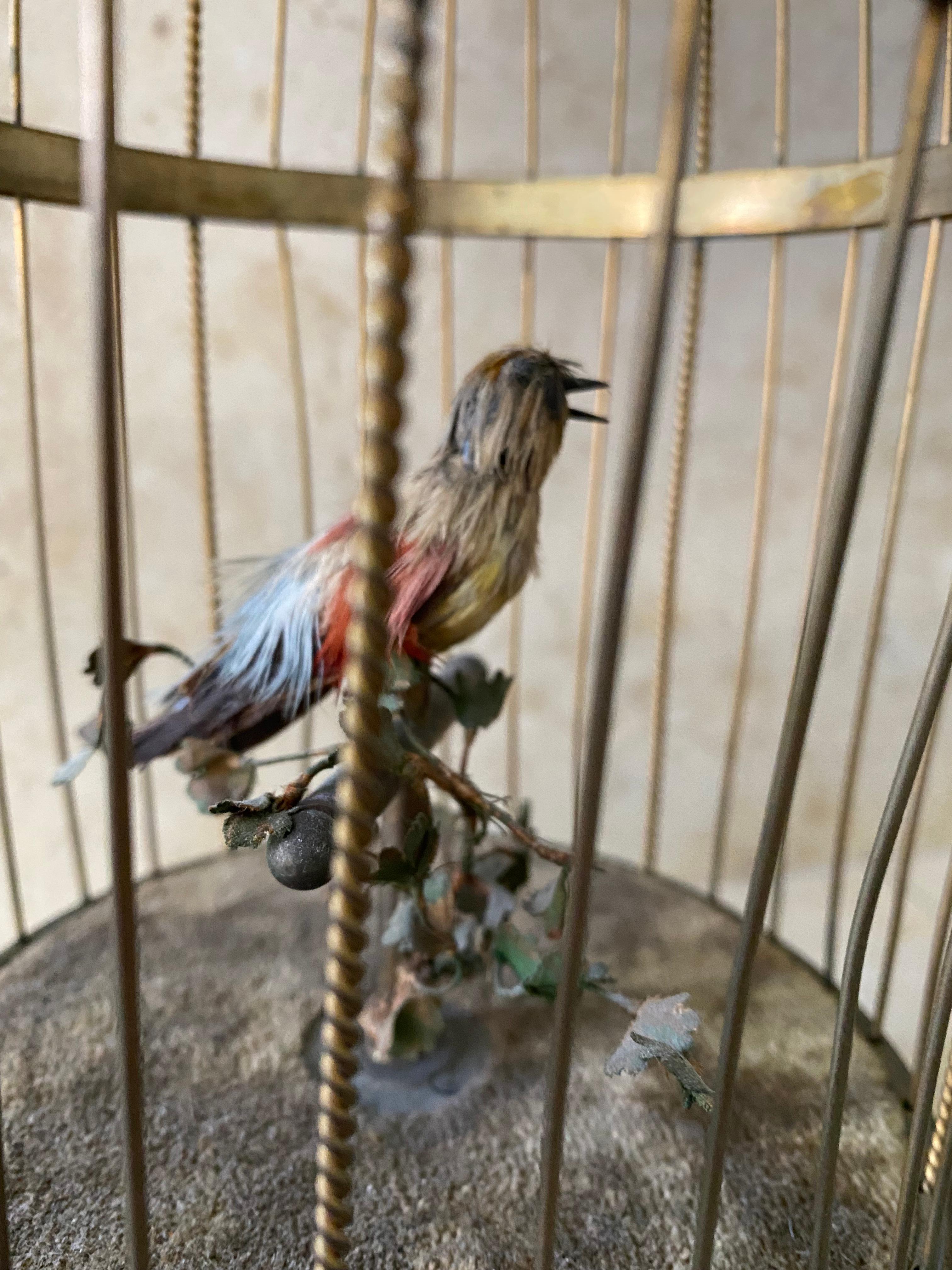 Antique France Brass Musical & Animated Birdcage 19th Century For Sale 1