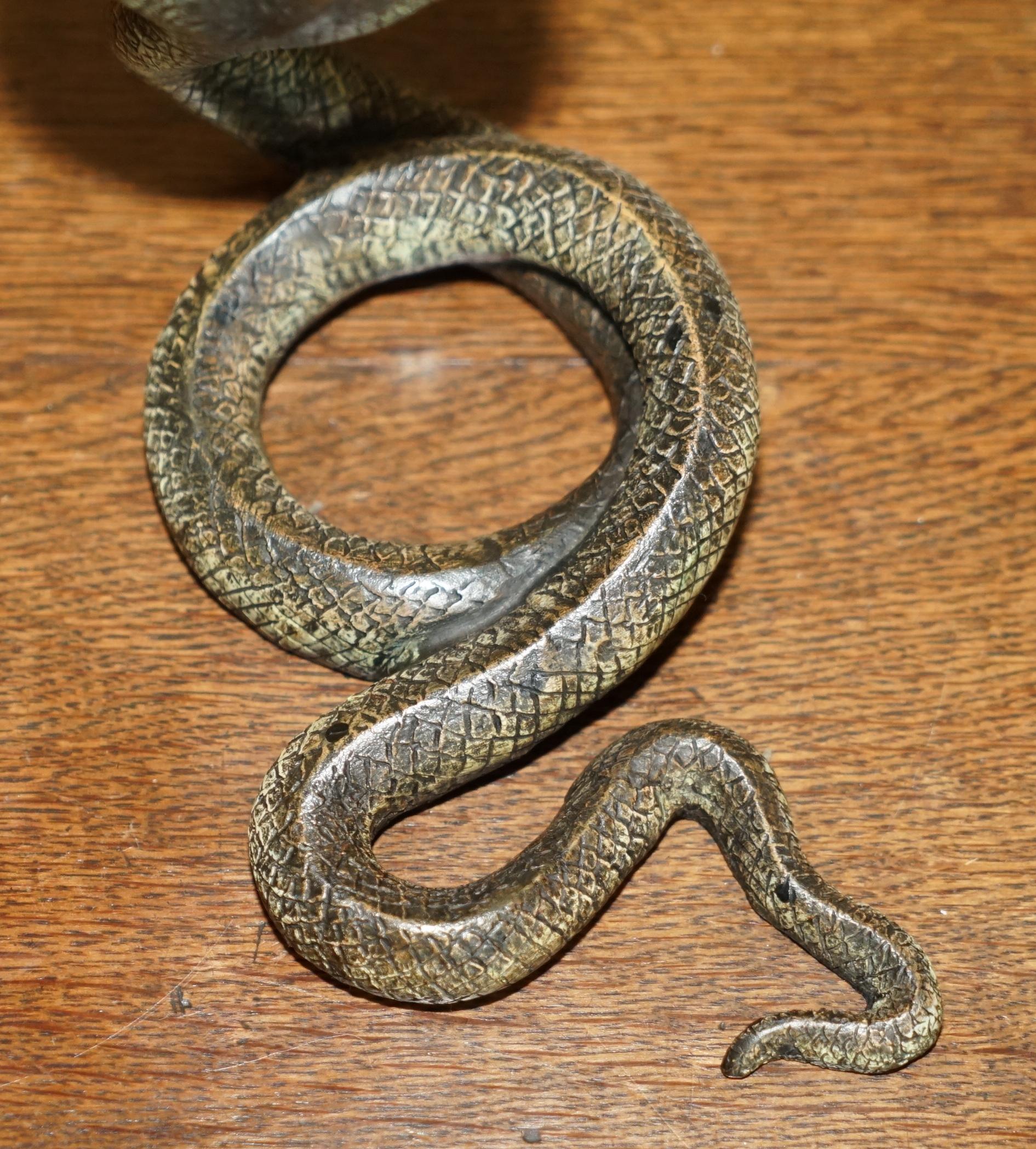 Antique Franz Bergman Vienna Cold Painted Bronze Cobra Snake Statue Watch Holder For Sale 1
