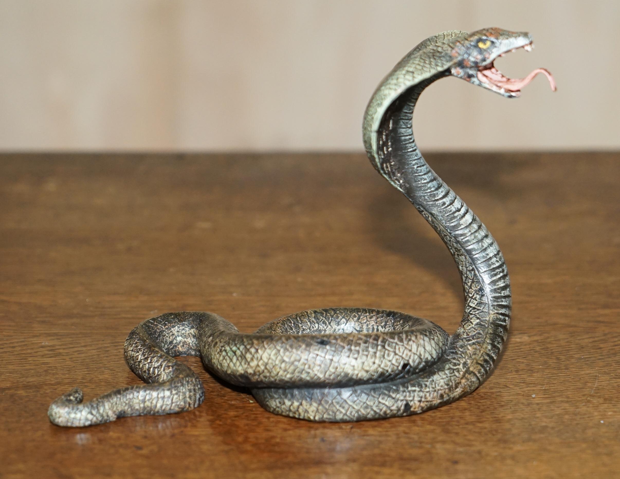 Antique Franz Bergman Vienna Cold Painted Bronze Cobra Snake Statue Watch Holder For Sale 2