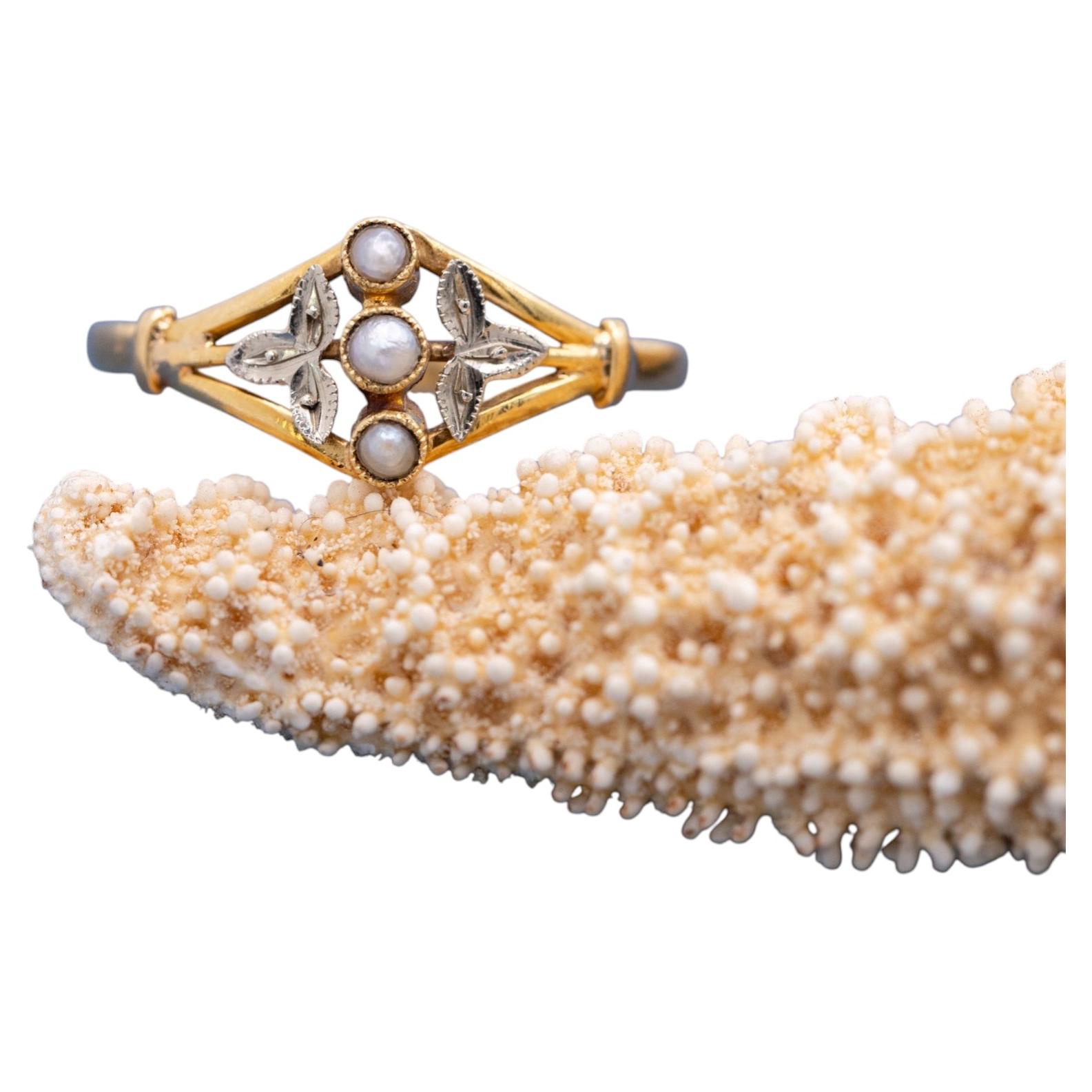 Antique French Anneau de perles en or jaune massif 18k, Art Nouveau Floral Past Present