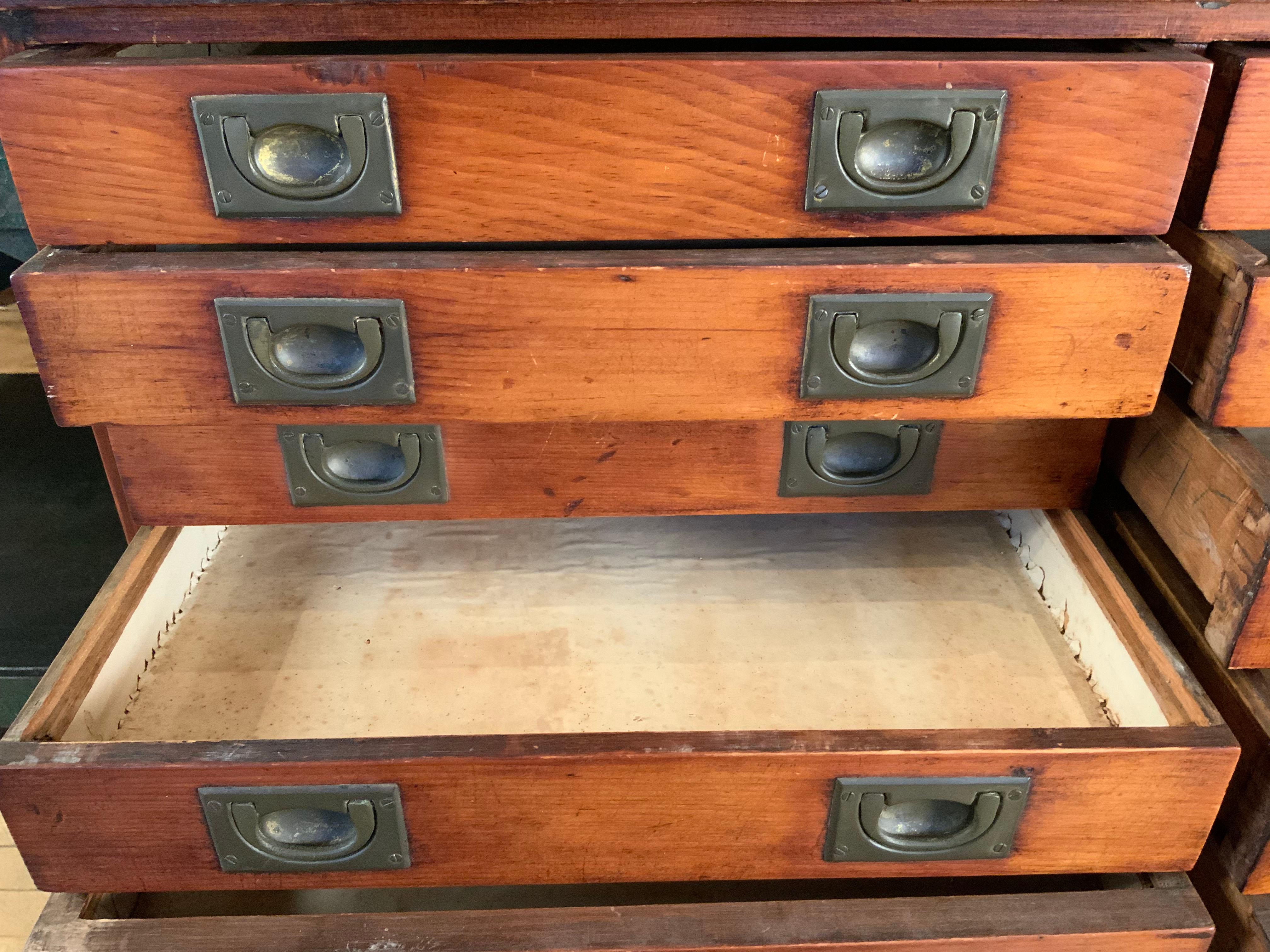 Antique French 19th Century Twenty-Four Drawer Specimen Chest 1