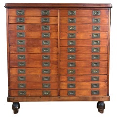 Antique French 19th Century Twenty-Four Drawer Specimen Chest
