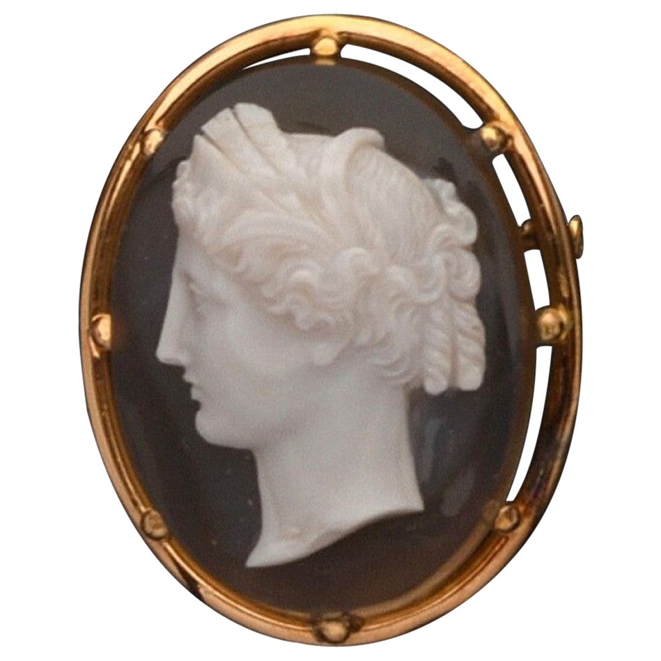 Antique French Agate Cameo Spilla