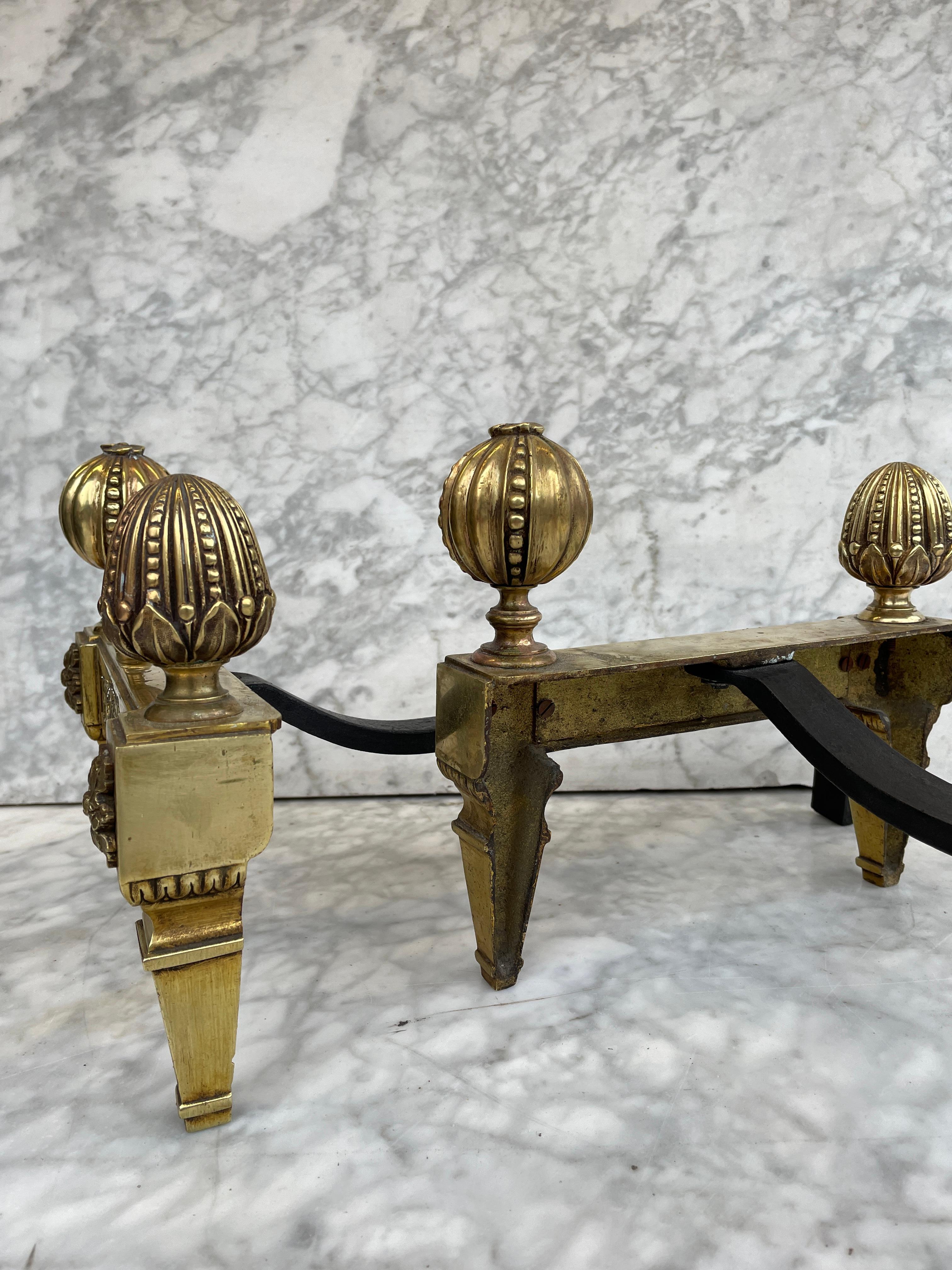 19th Century Antique French Andirons or Firedogs, Cast iron and Brass