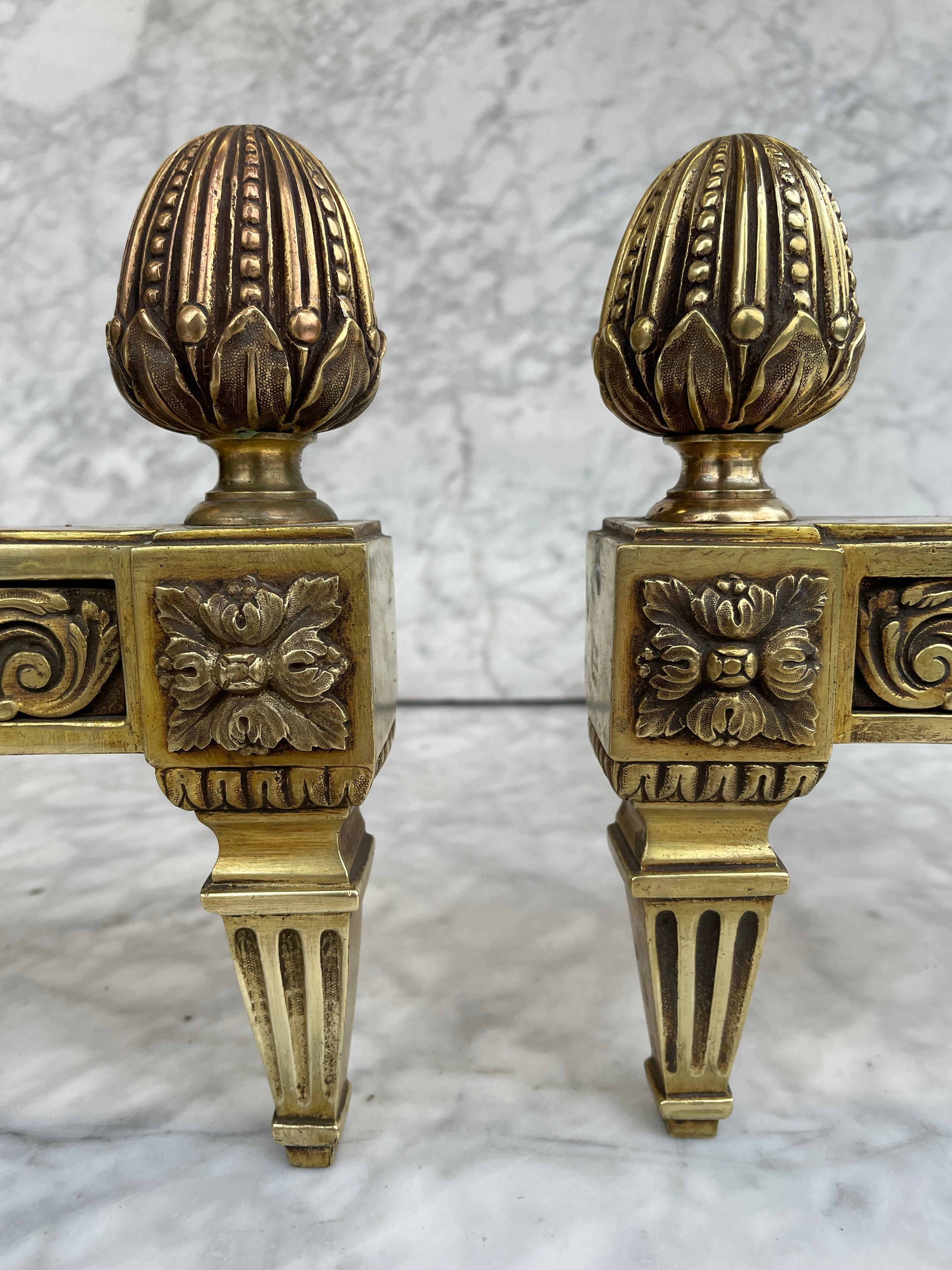 Antique French Andirons or Firedogs, Cast iron and Brass 1