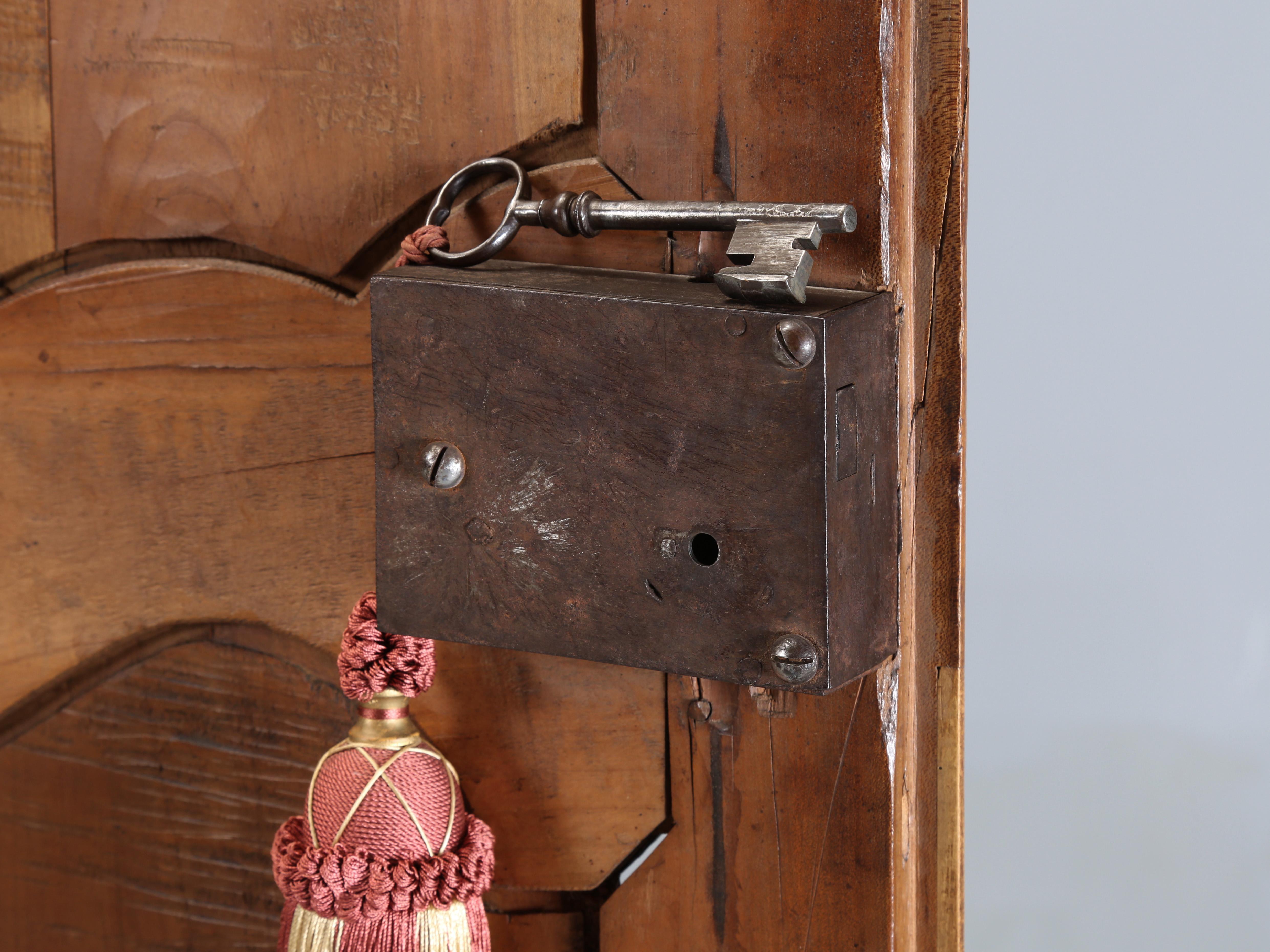 Antique French Armoire Incredible Patina Just Completed Sympathetic Restoration 10