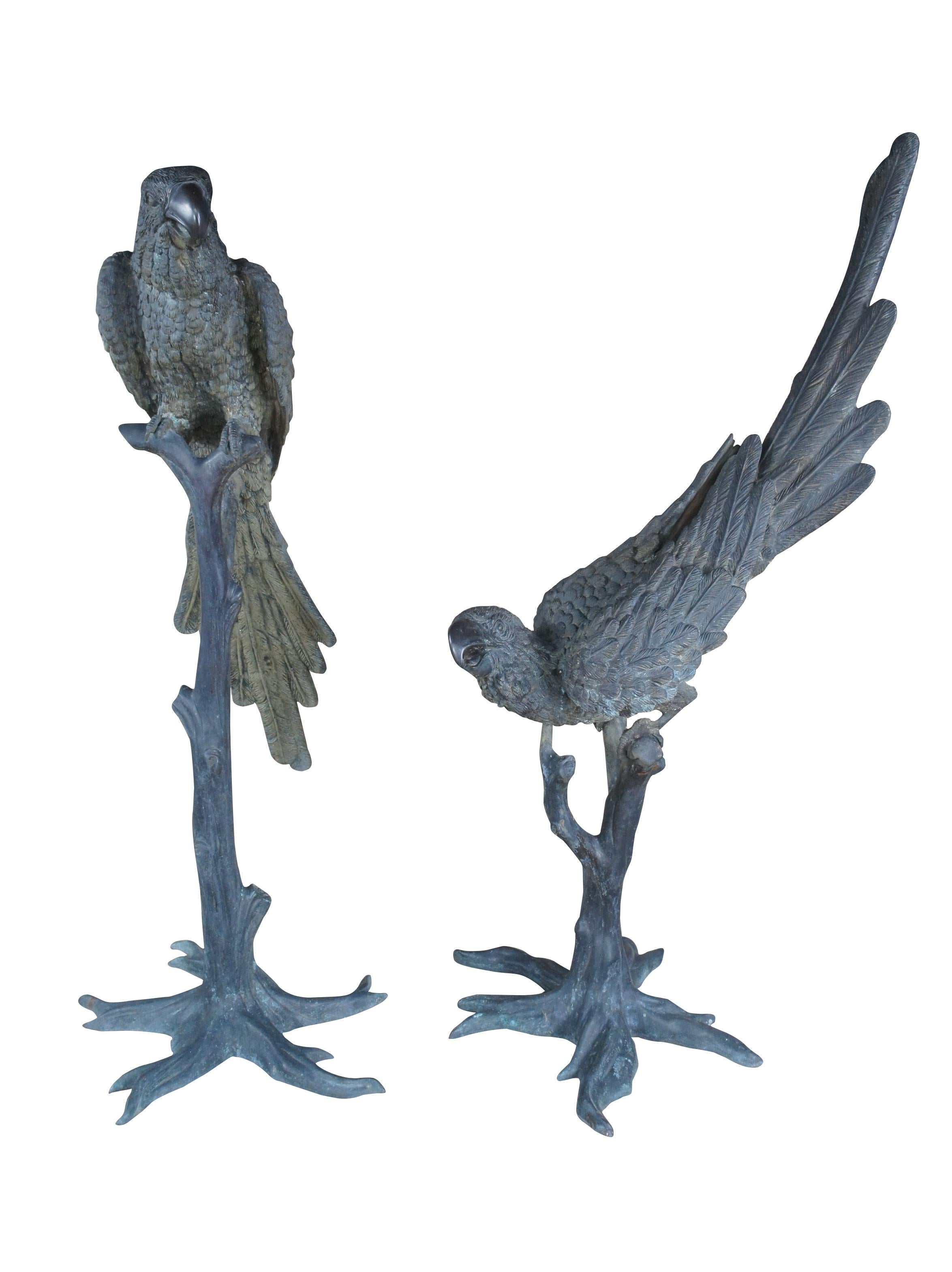 Exquisite Antique Pair of French Art Deco bronze oversized Macaw Parrots or birds perched on stands with nice patina, circa 1920s. These monumental art sculptures feature a realistic tree trunk that supports each parrot rendered in explicit details.