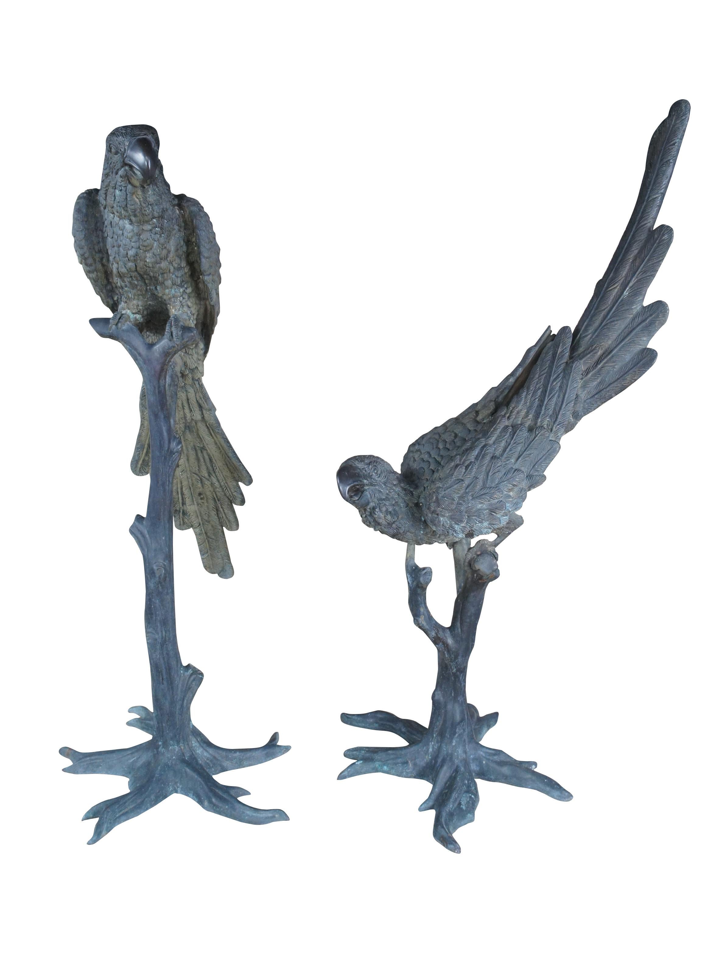 Exquisito par de loros o guacamayos franceses Art Decó de bronce sobredimensionados posados en soportes con una bonita pátina, circa años 20. Estas esculturas artísticas monumentales presentan un tronco de árbol realista que sostiene a cada loro