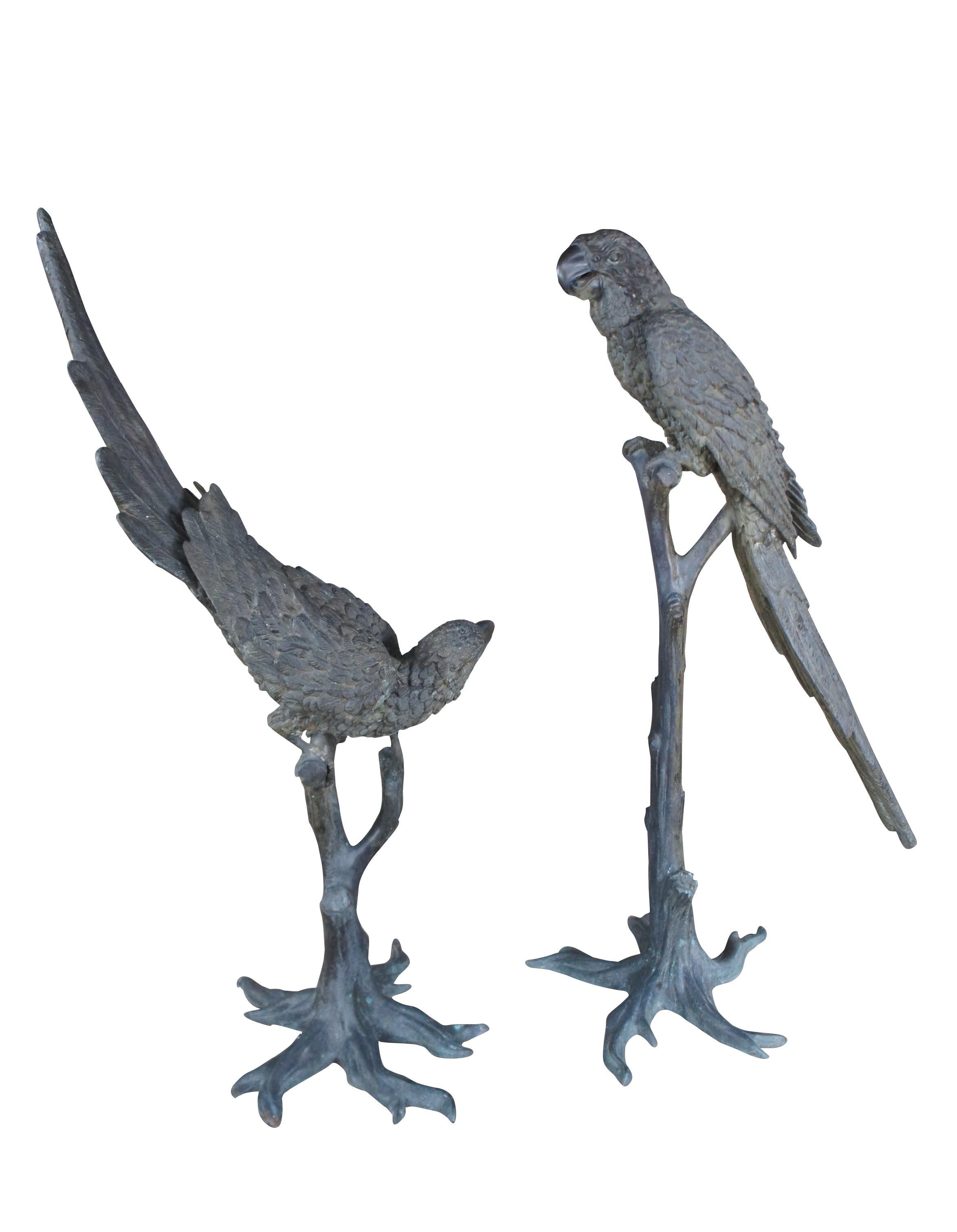 Antique French Art Deco Pair Lifesize Bronze Parrot Bird Sculptures Statues 55