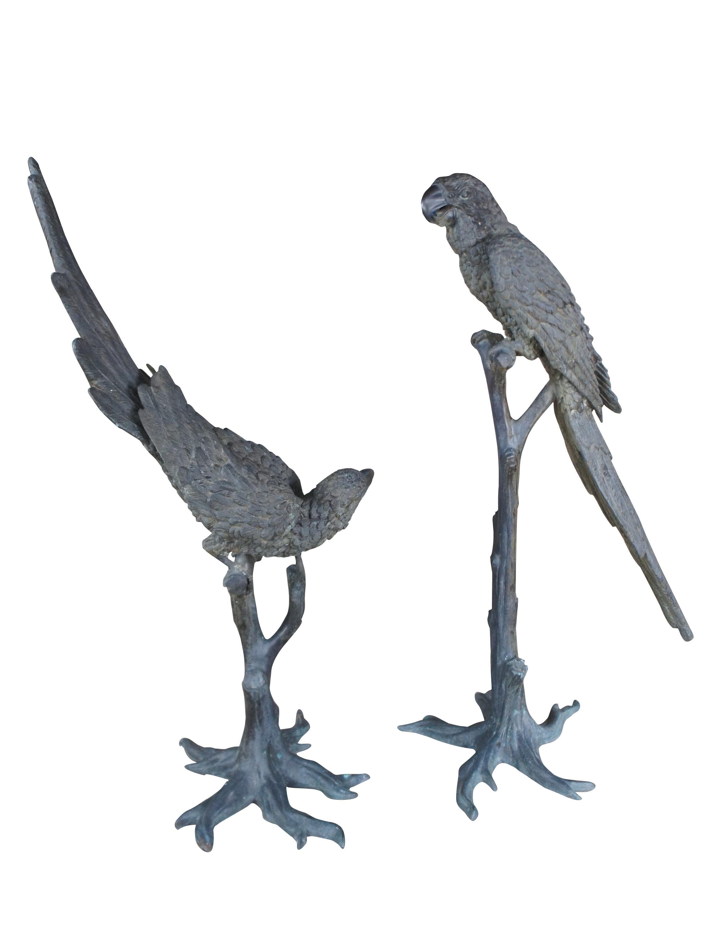 Antique French Art Deco Par Lifesize Bronce Pájaro Loro Esculturas Estatuas 55 Art Decó