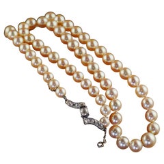 Antique French Art Deco Platinum Old Euro Diamond Akoya Pearl Strand Necklace (Collana di perle Akoya)