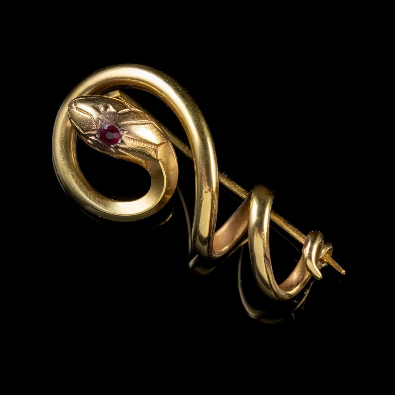 This beautiful Antique Art Nouveau French brooch is modelled in the shape of a coiled serpent. It features intricate detailing on the head with a gorgeous Garnet inset, weighing approx. 0.75ct.

The brooch features the mark TITRE FIXE. ‘Fixe’ is the