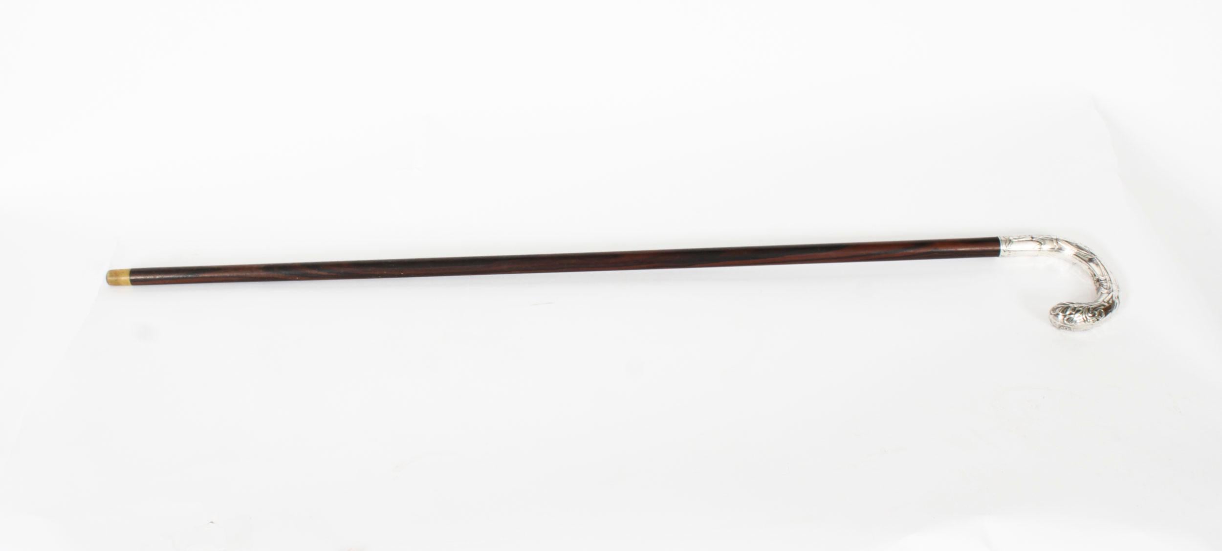 Il s'agit d'une superbe canne en argent de style Art Nouveau, datant de 1890.

Cette baguette est ornée d'un Handel à tête crochue en argent, sur un manche ébonisé légèrement effilé, et possède sa virole en laiton d'origine. 
 
Ajoutez un élément