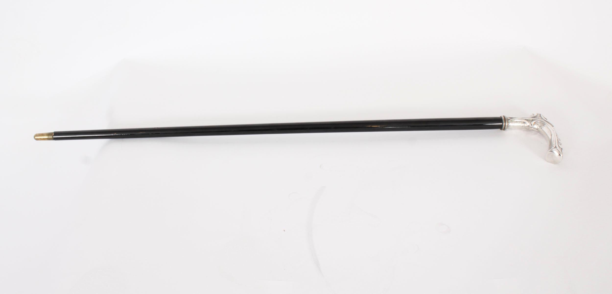 Antique French Art Nouveau Silver Walking Stick Cane C1890 2