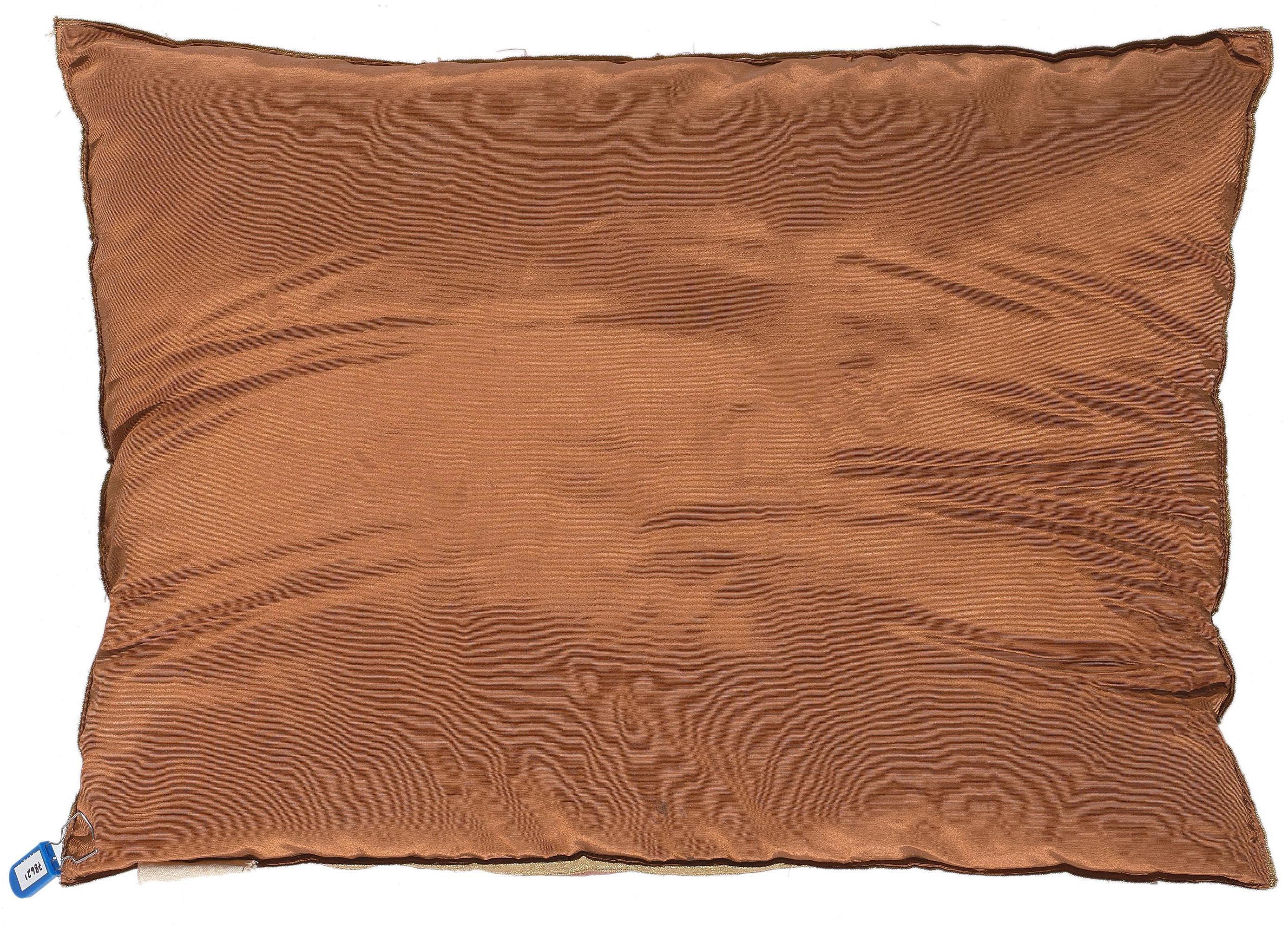 Antikes französisches Aubusson-Kissen mit Nadelspitze-Wandteppich (19. Jahrhundert) im Angebot