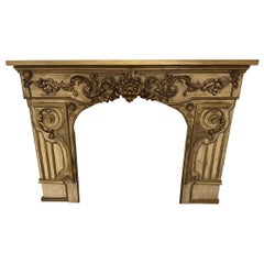 Fireplaces and Mantels