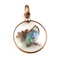 Antique French Beetle locket pendant, Gold plated