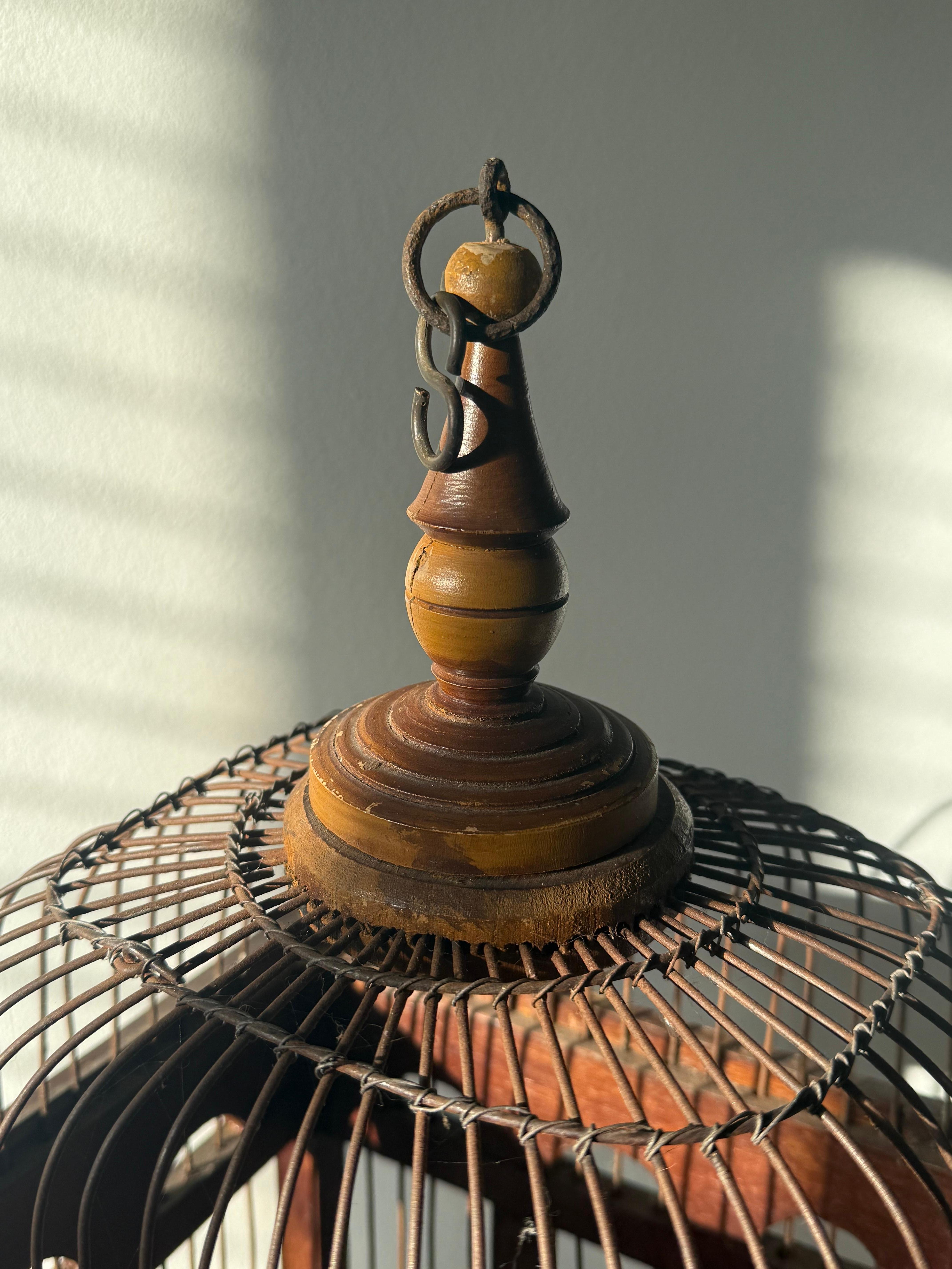 Antique French Vogelkäfig (Frühes 20. Jahrhundert) im Angebot