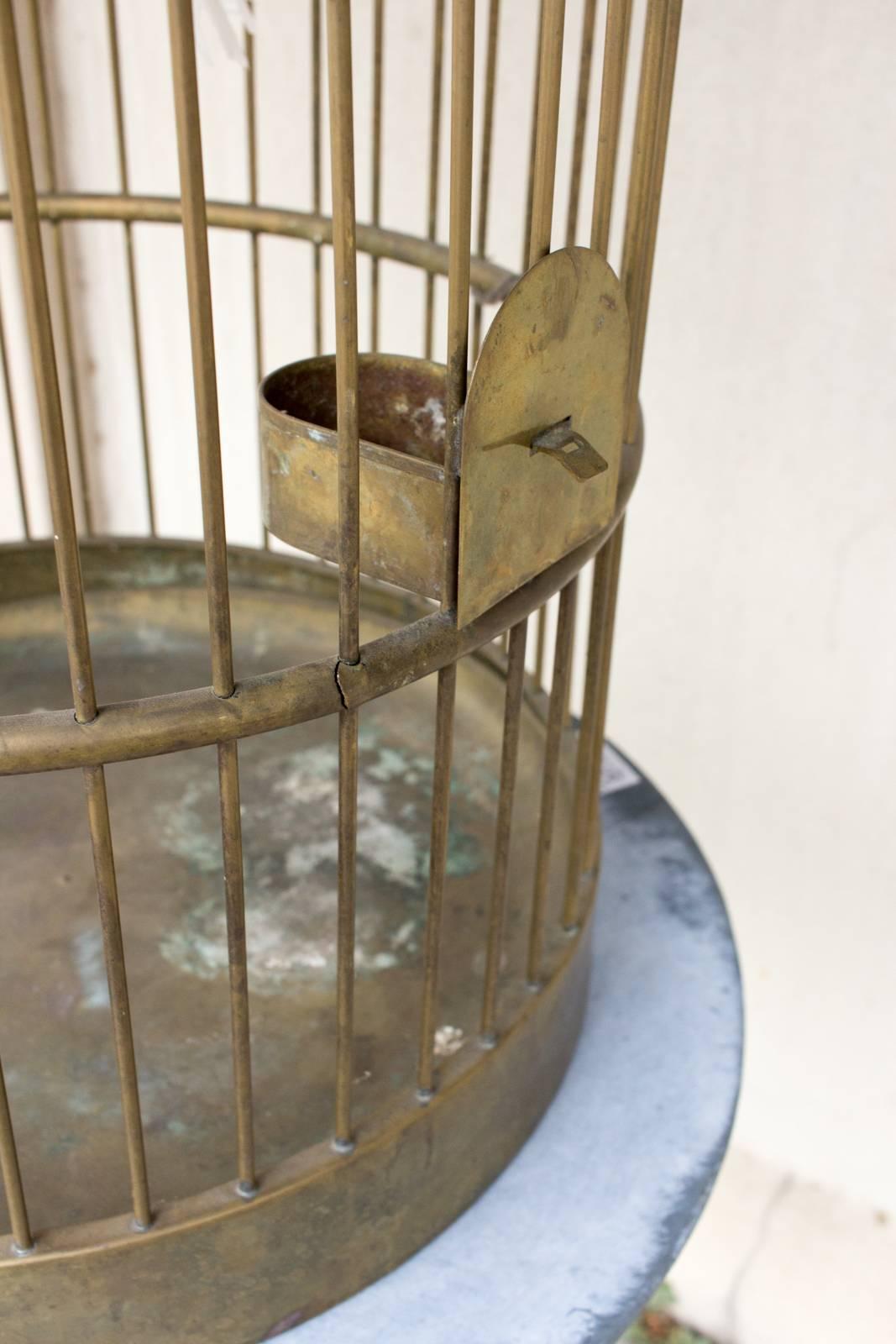 Antique French Birdcage & Taxidermy Dove Sculpture 4