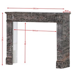 Antique French Bois Jourdan Marble Fireplace Mantel -LXVI - Gare St. Lazare