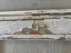Antique French Botanical Herbarium with Pressed Plant in Distressed Painted Wood