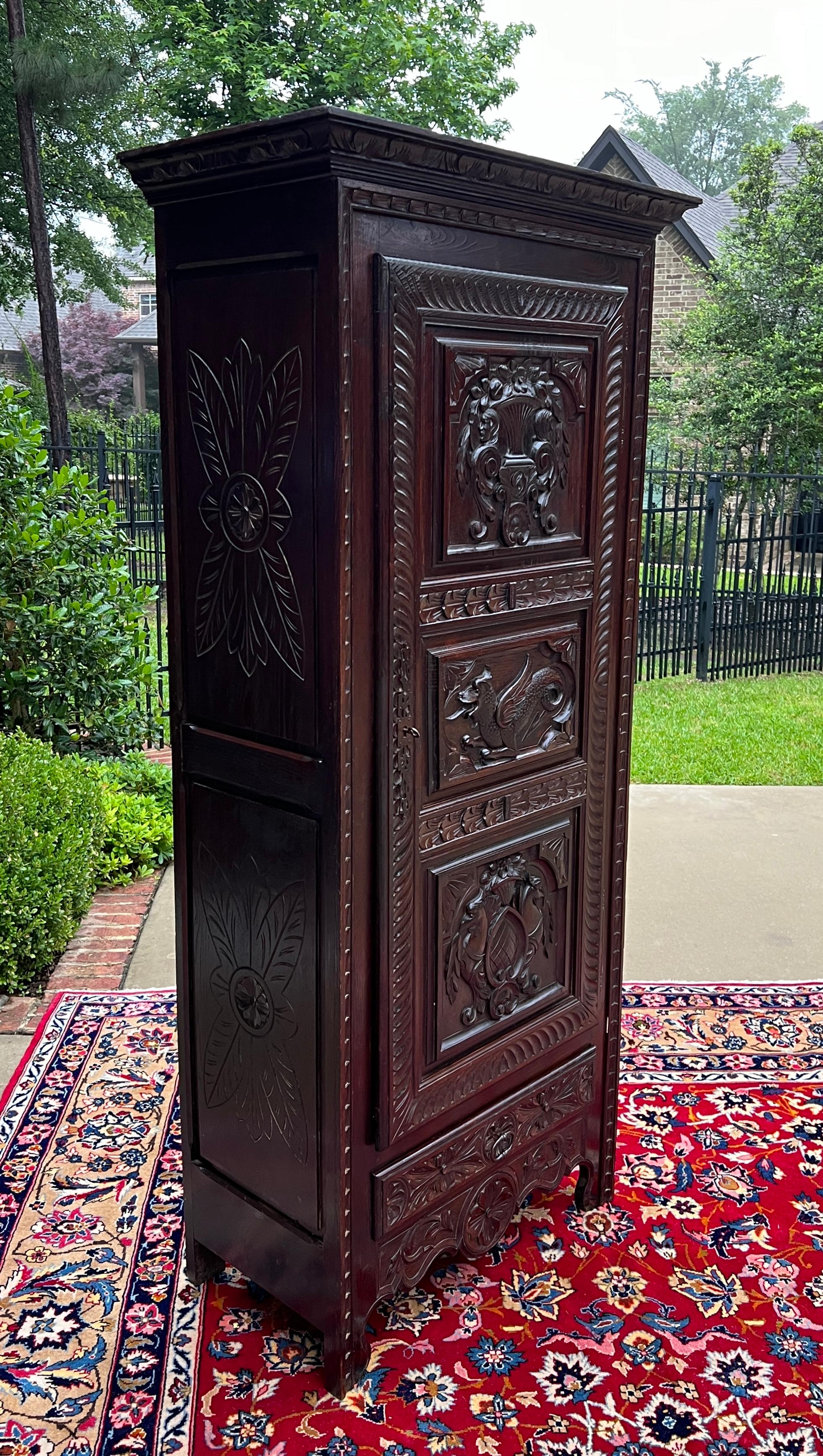 French Provincial Antique French Breton Armoire Wardrobe Cabinet Linen Closet Chestnut c. 1900-20s For Sale