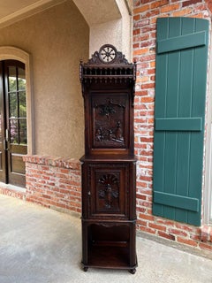 Antique French Breton Hall Cabinet Tall Narrow Carved Crown Bookcase c1880