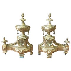 Antique French Bronze Rams Head Chenets, a Pair