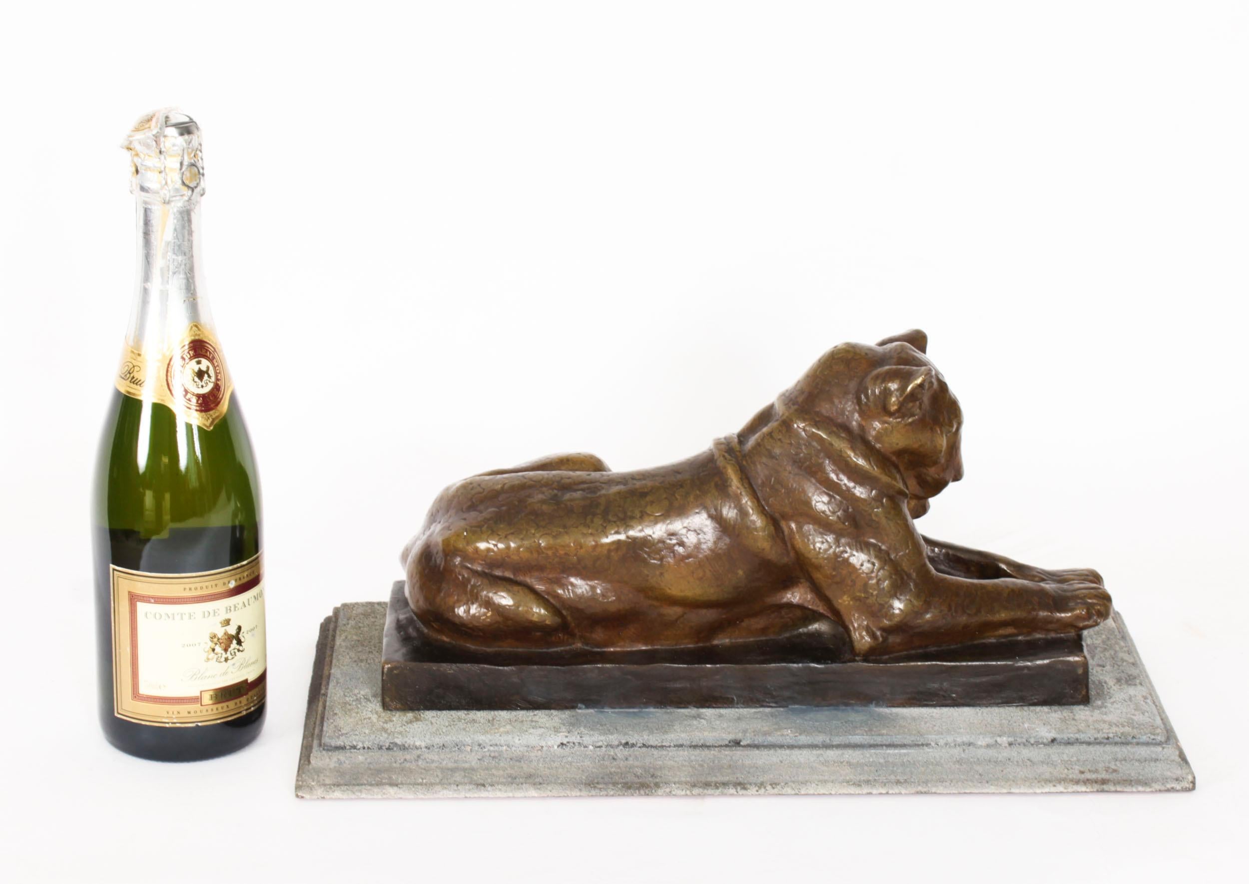 Antique French Bronze Sculpture of Lioness by Louis Riche Early 20th Century For Sale 7
