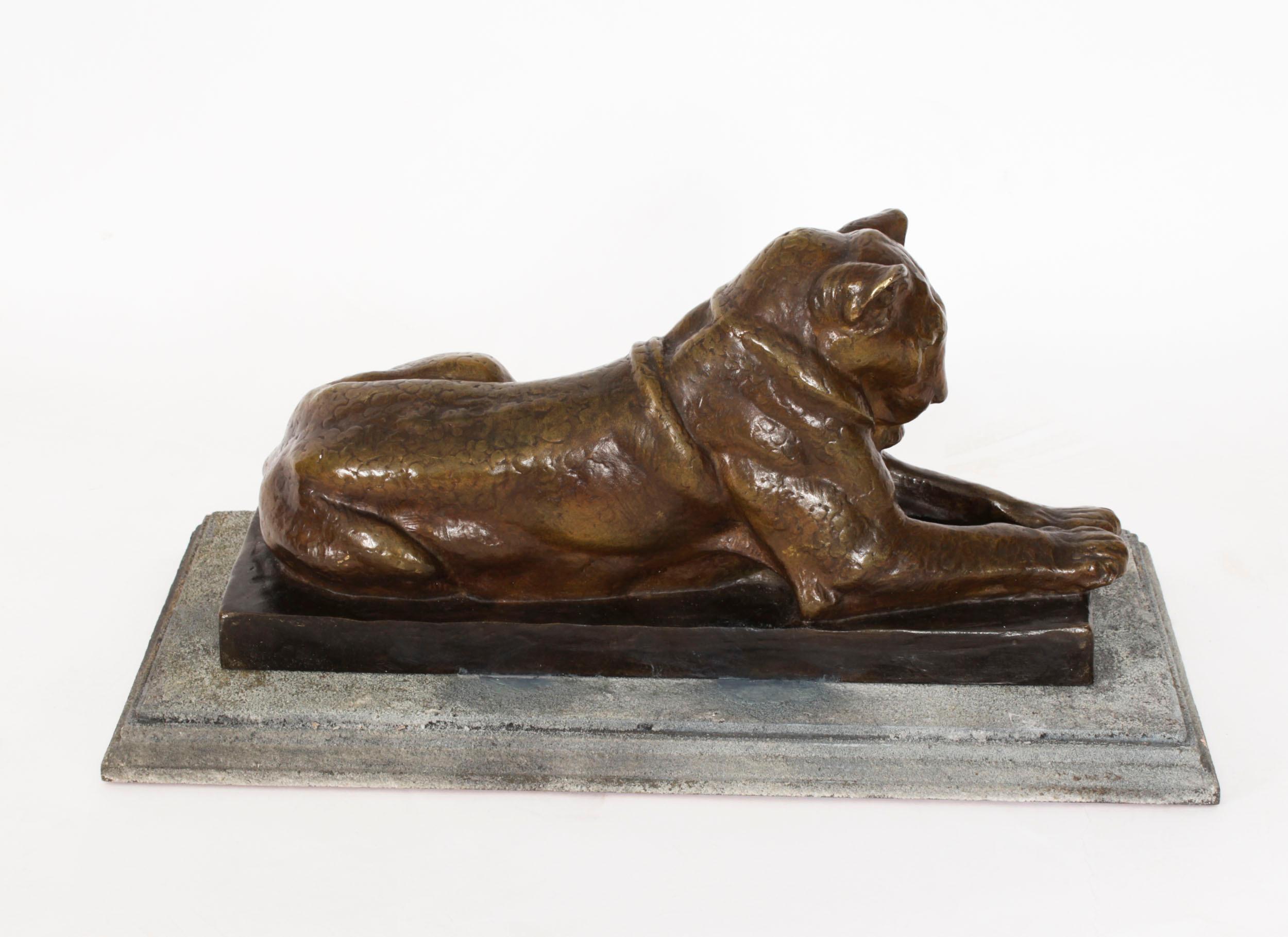 Antike französische Bronzeskulptur einer Löwe aus Bronze von Louis Riche, frühes 20. Jahrhundert im Angebot 4