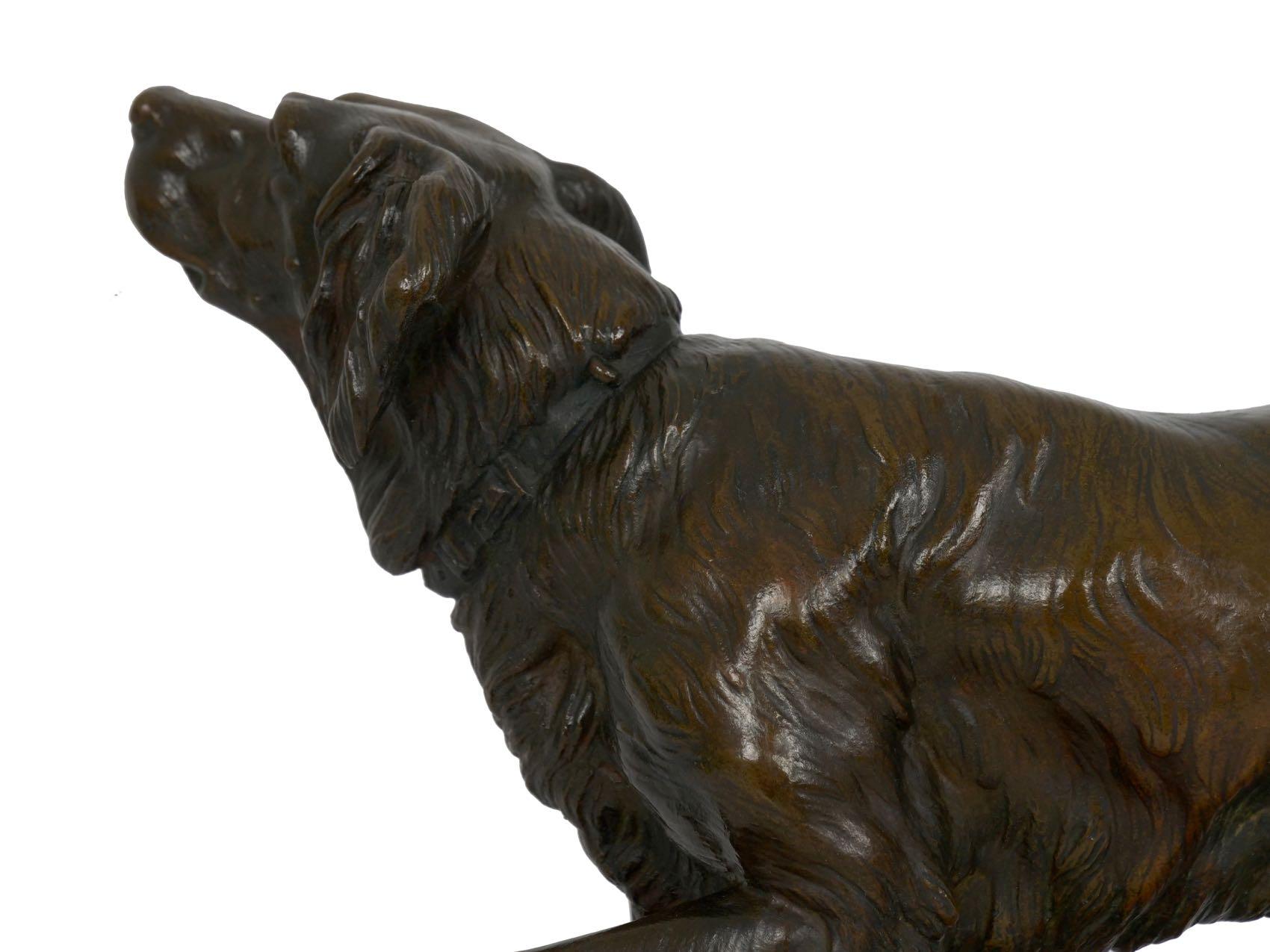 Antique French Bronze Sculpture of Setter Retriever Dog by Jules Moigniez 6