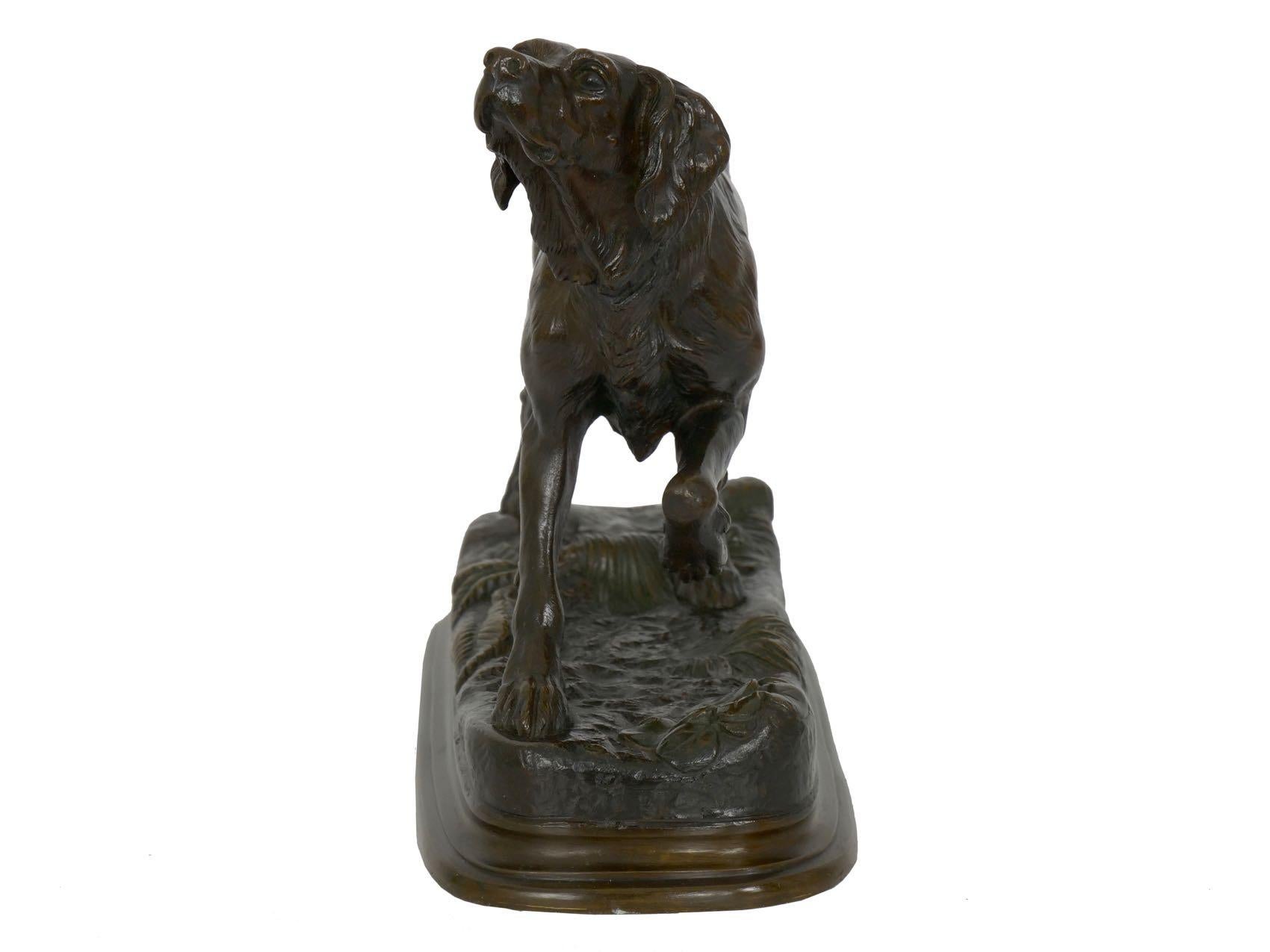 Antique French Bronze Sculpture of Setter Retriever Dog by Jules Moigniez 12