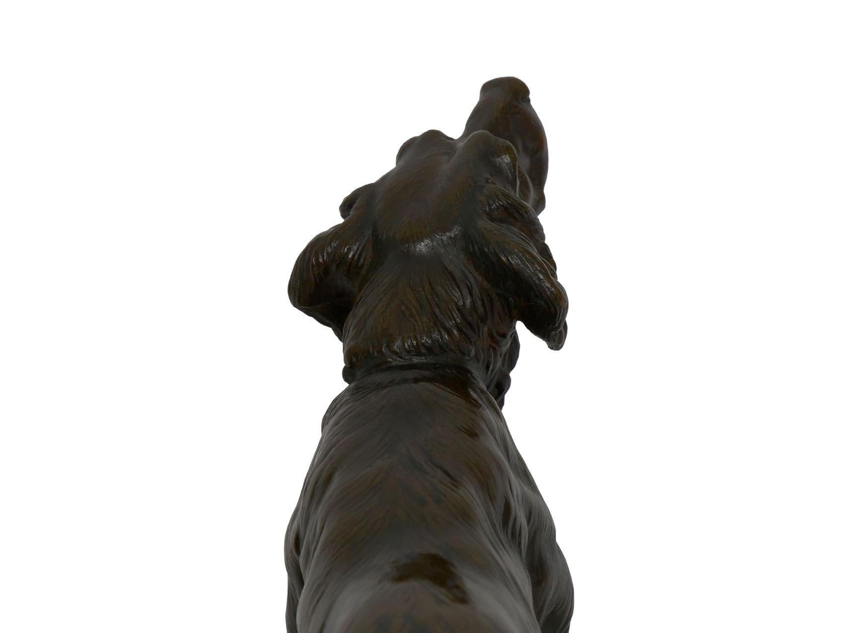 Antique French Bronze Sculpture of Setter Retriever Dog by Jules Moigniez 5