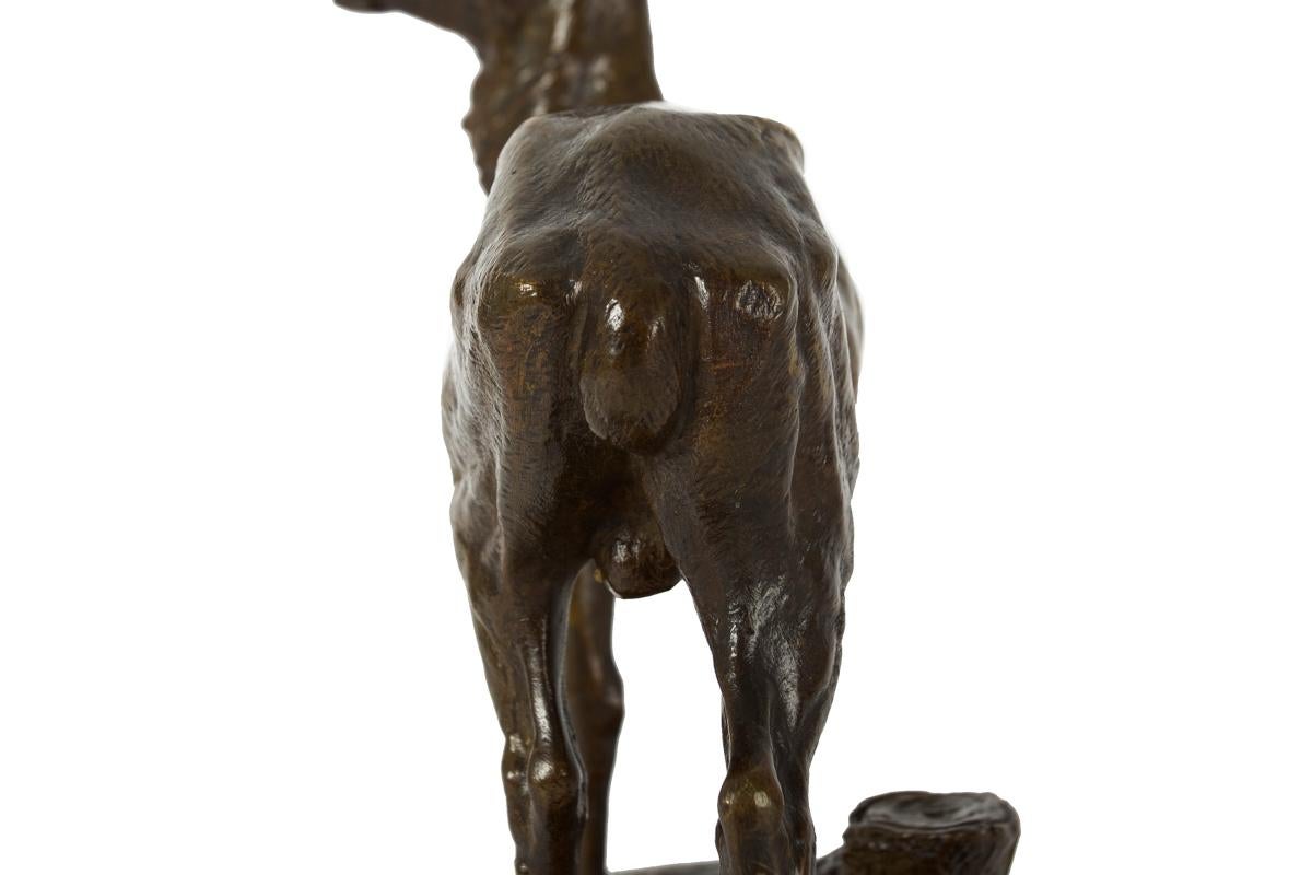 Antike französische Bronzeskulptur „Ständer Hirsch“ aus Bronze von Alfred Dubucand im Angebot 9