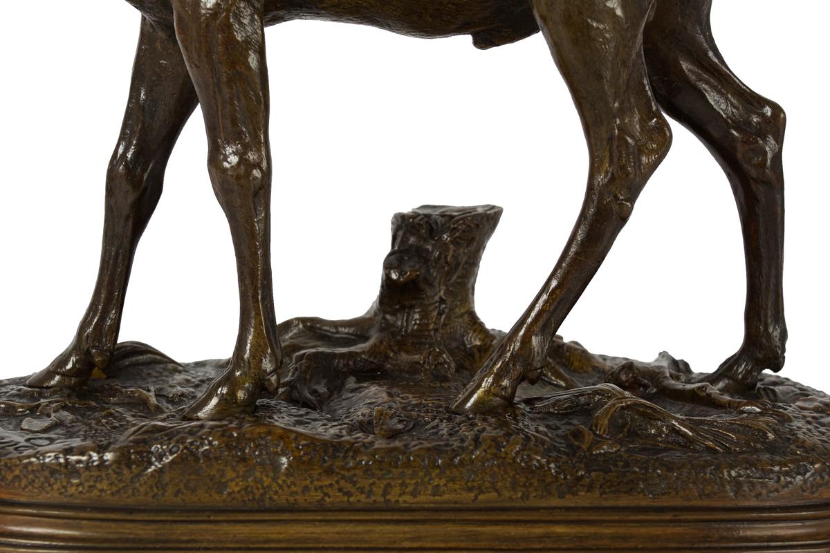 Antike französische Bronzeskulptur „Ständer Hirsch“ aus Bronze von Alfred Dubucand im Angebot 4