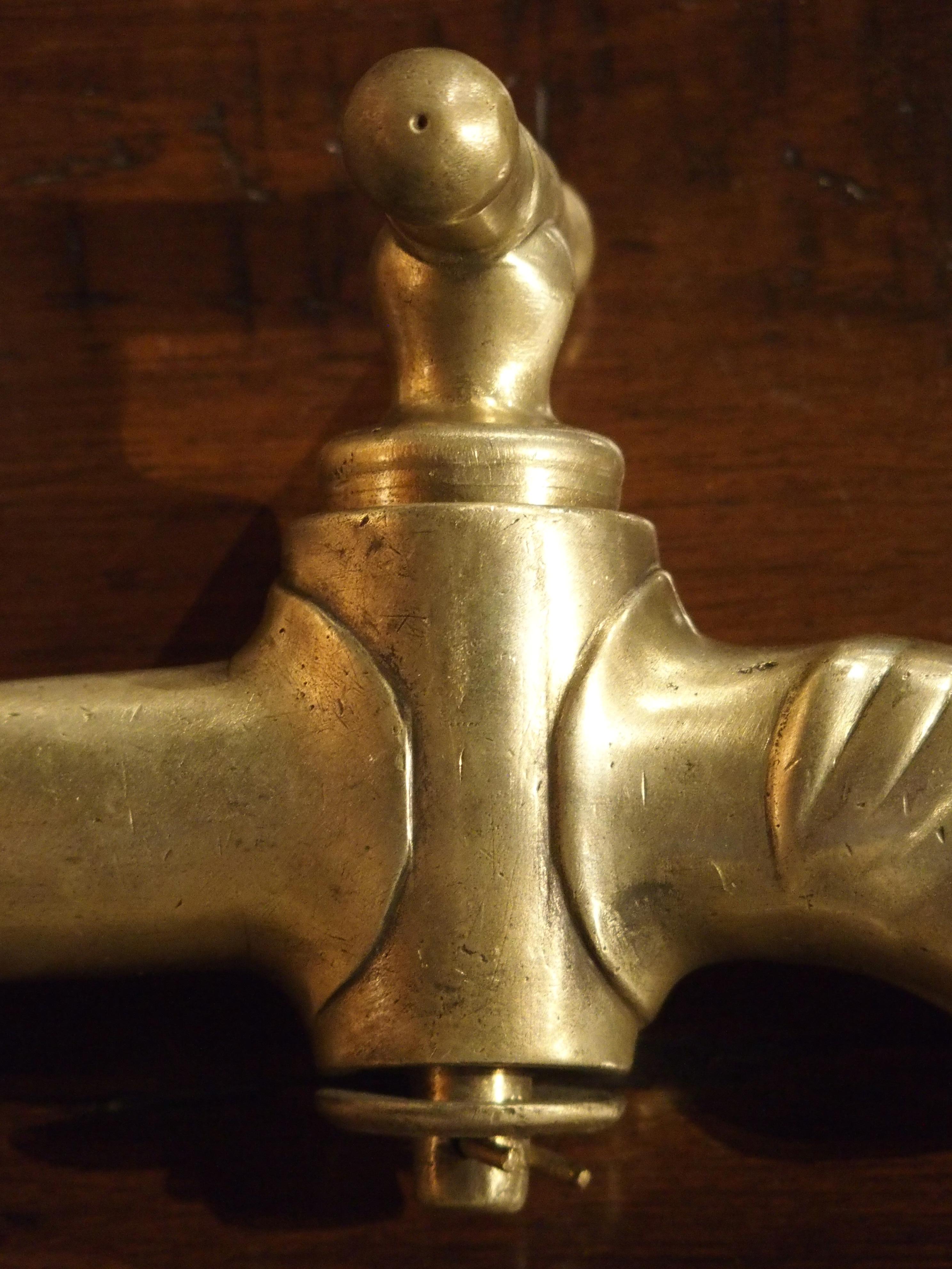 Antique French Bronze Spout, 19th Century 1