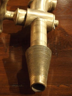 Antique French Bronze Stylized Dolphin Spout, 19th Century