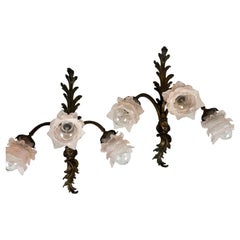Wall Lights and Sconces