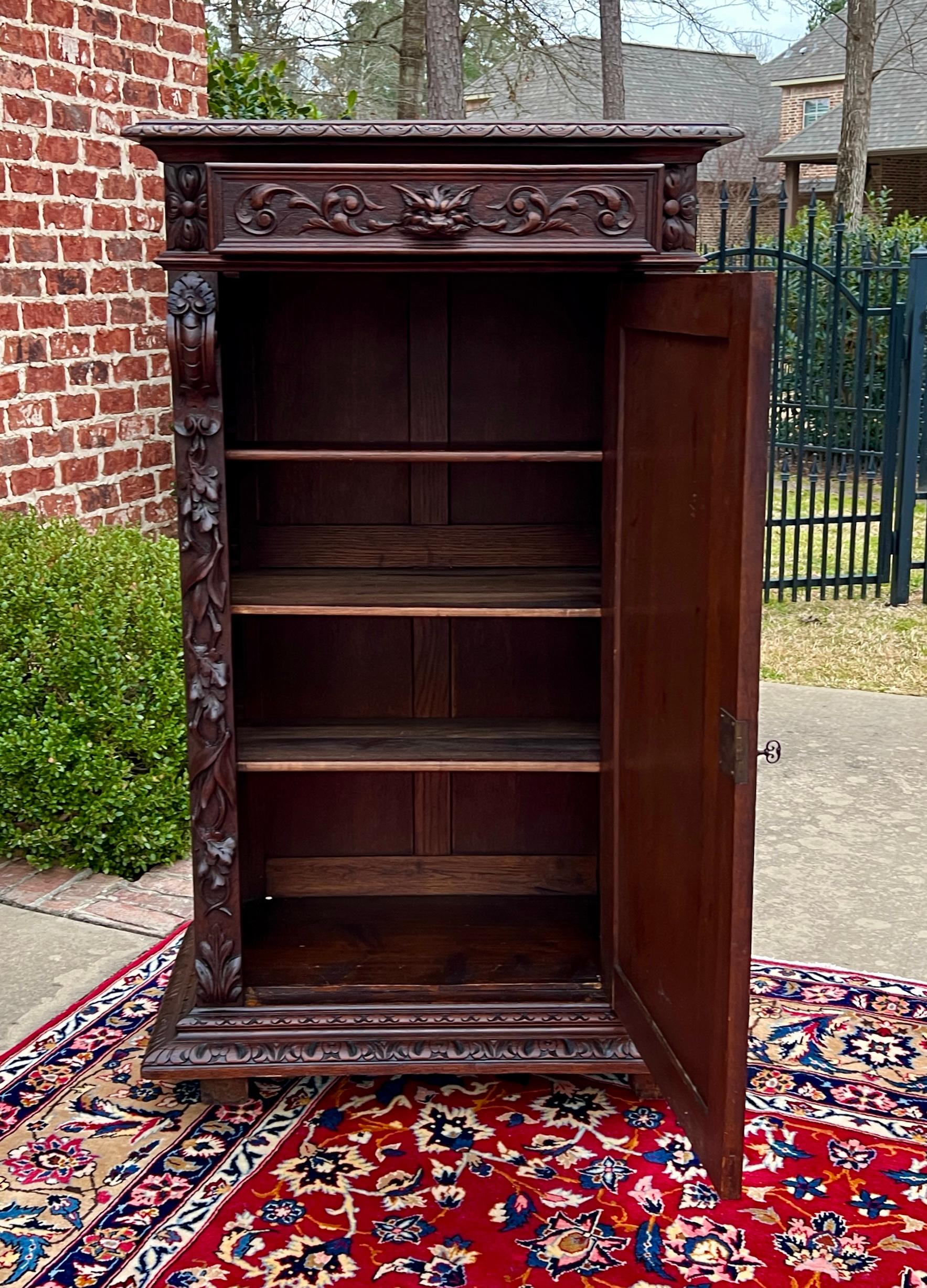 Antique French Cabinet Cupboard Bookcase Storage Drawer Carved Lion Oak 19th C. in vendita 1