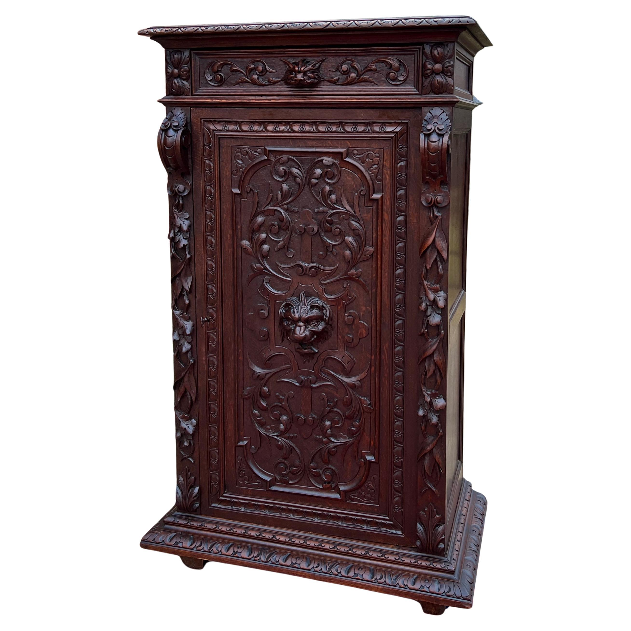 Antique French Cabinet Cupboard Bookcase Storage Drawer Carved Lion Oak 19th C