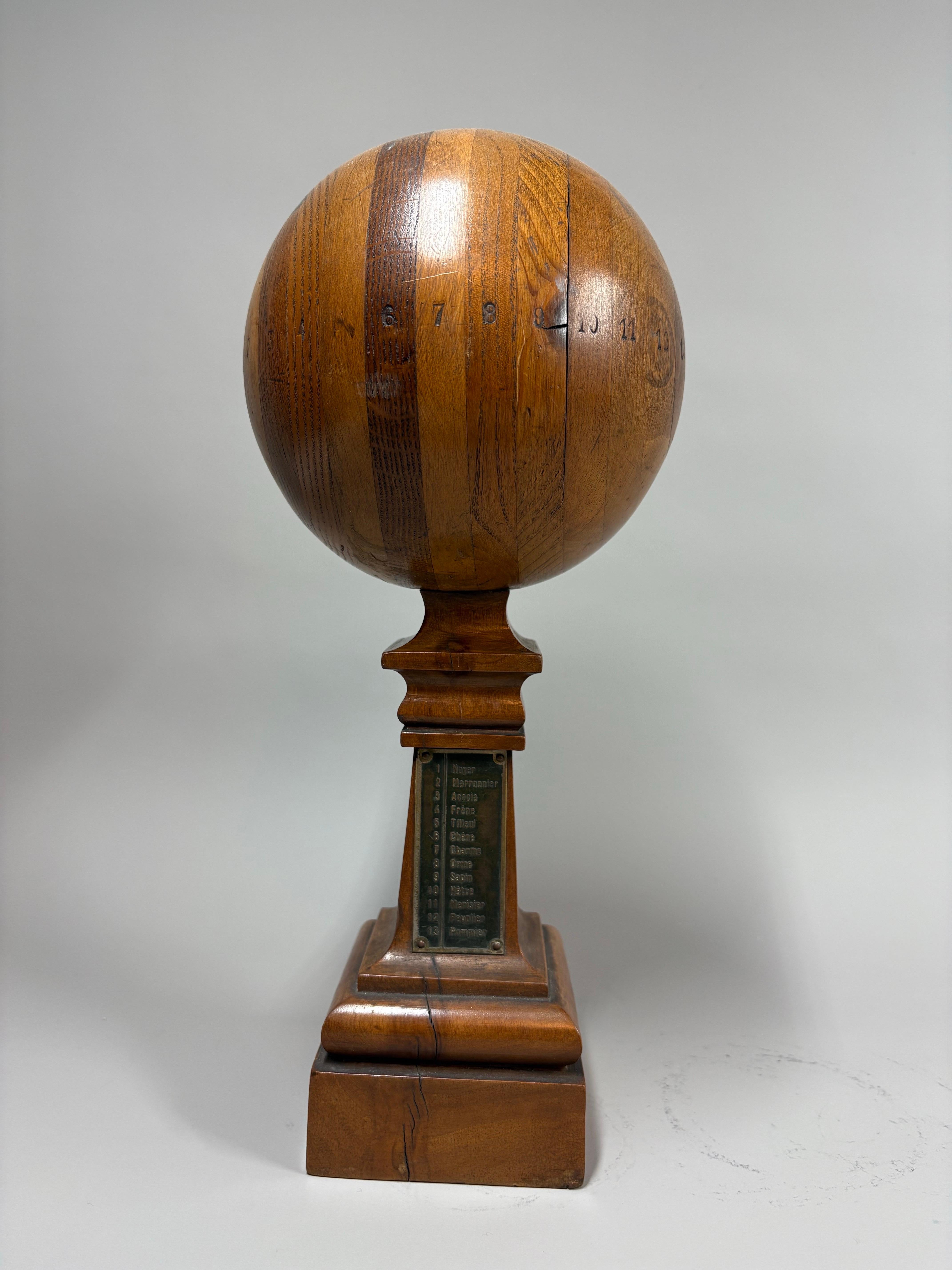 Début du 20ème siècle Antique French Cabinet maker wood sampler / display en vente